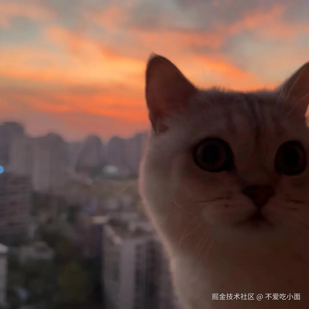 不爱吃小面于2024-09-09 20:10发布的图片