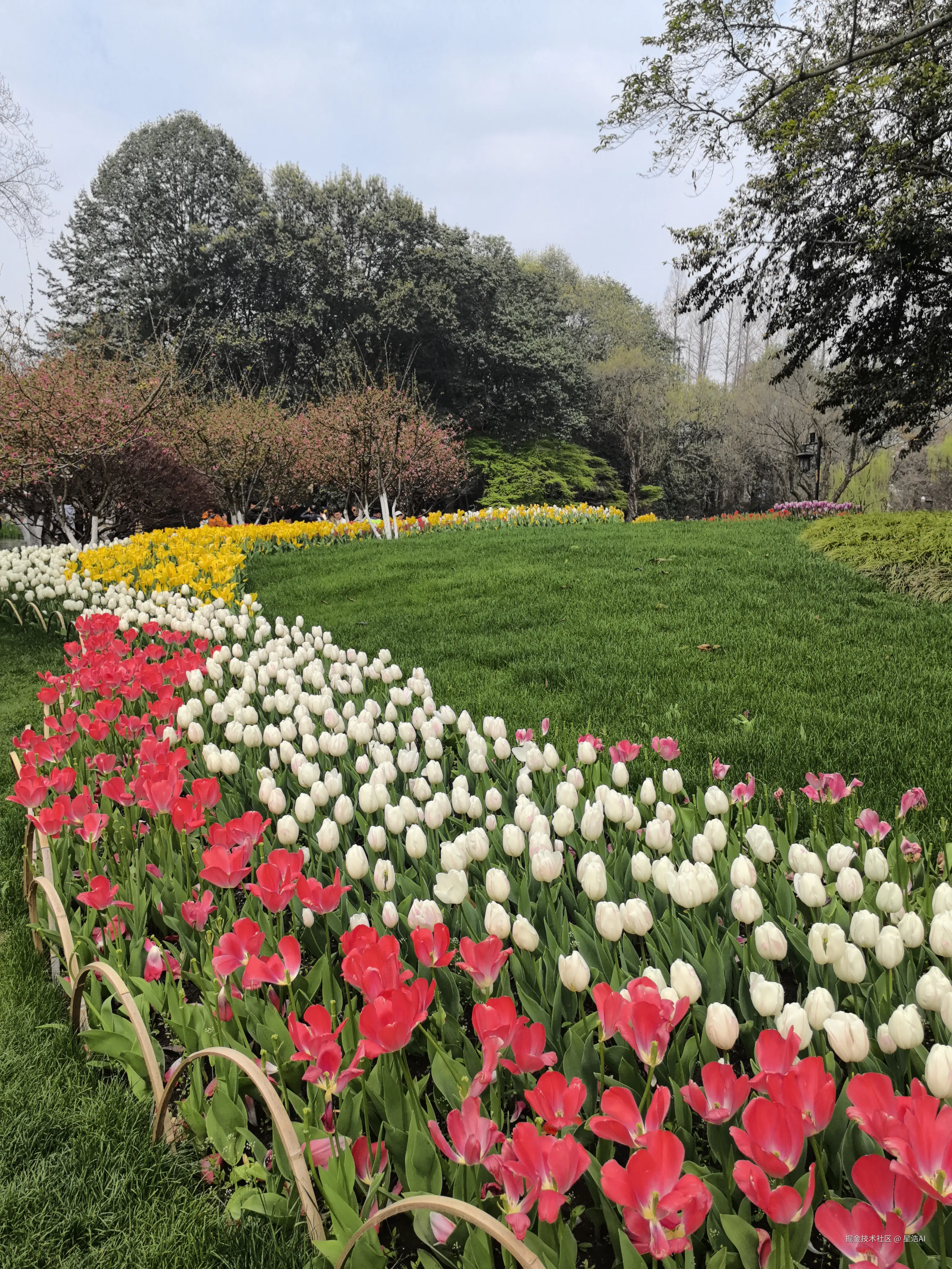 星浩AI于2026-03-22 12:00发布的图片