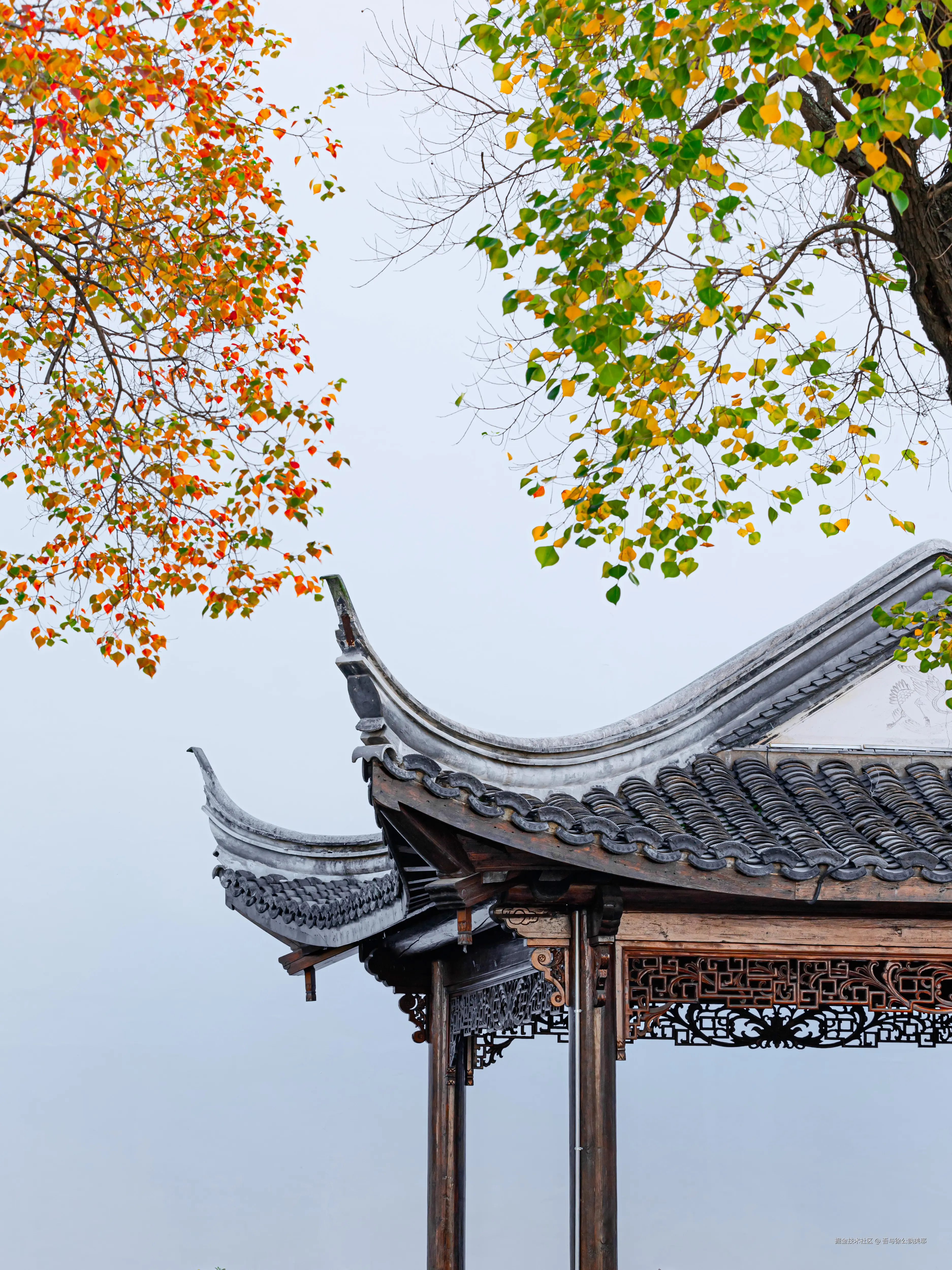 吾与徐公孰美耶于2024-11-11 01:49发布的图片