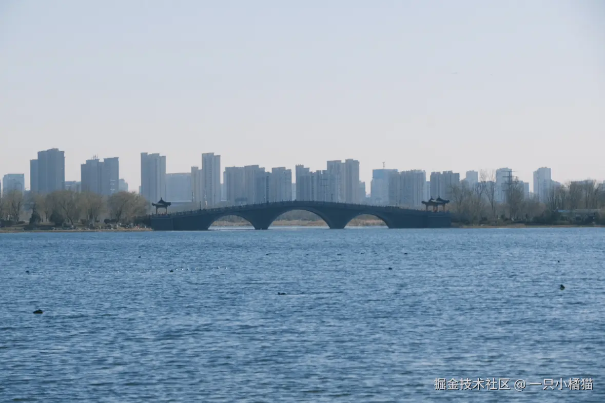 一只小橘猫于2026-01-15 09:24发布的图片