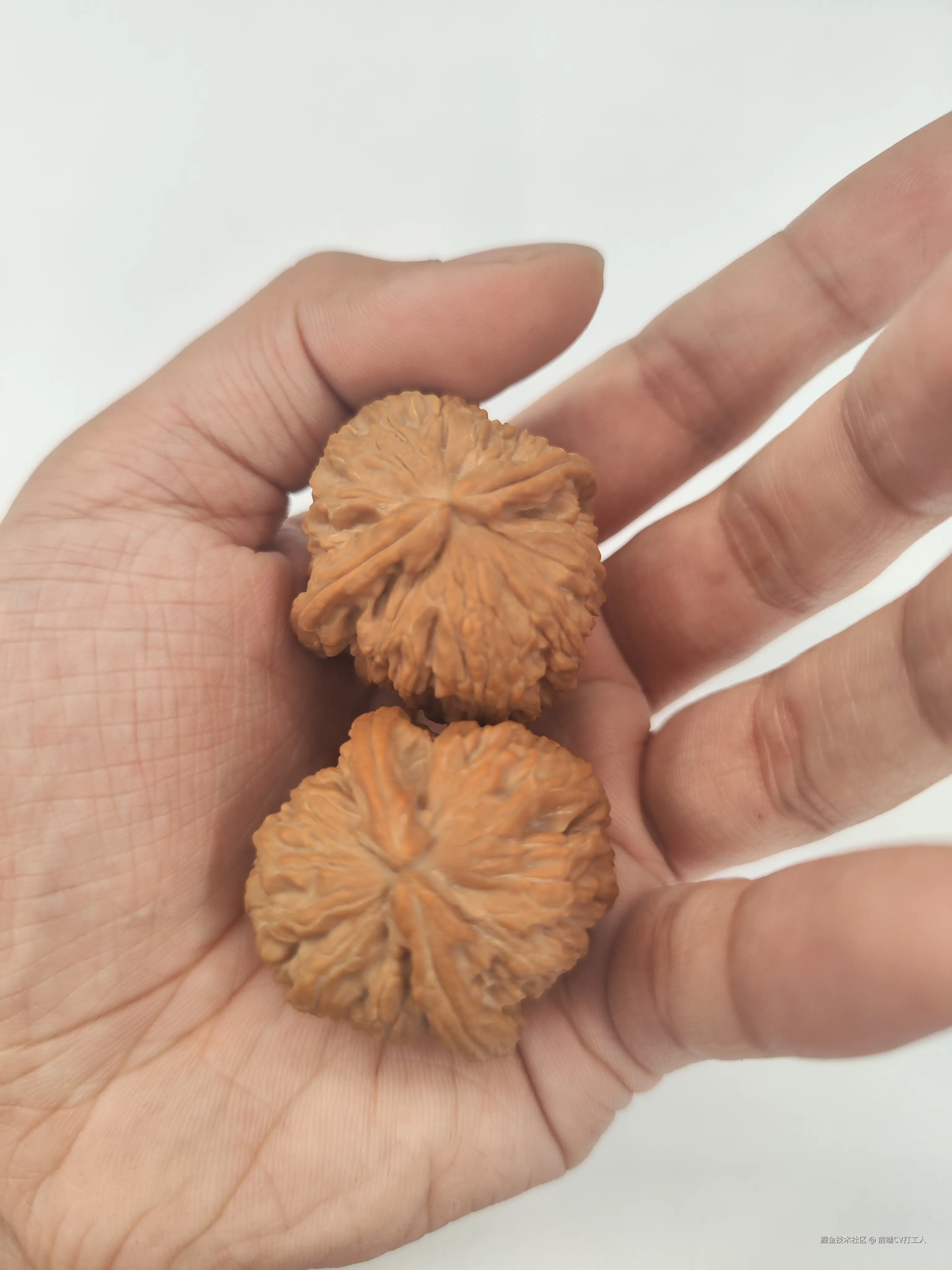 前端CV打工人于2024-11-15 09:48发布的图片