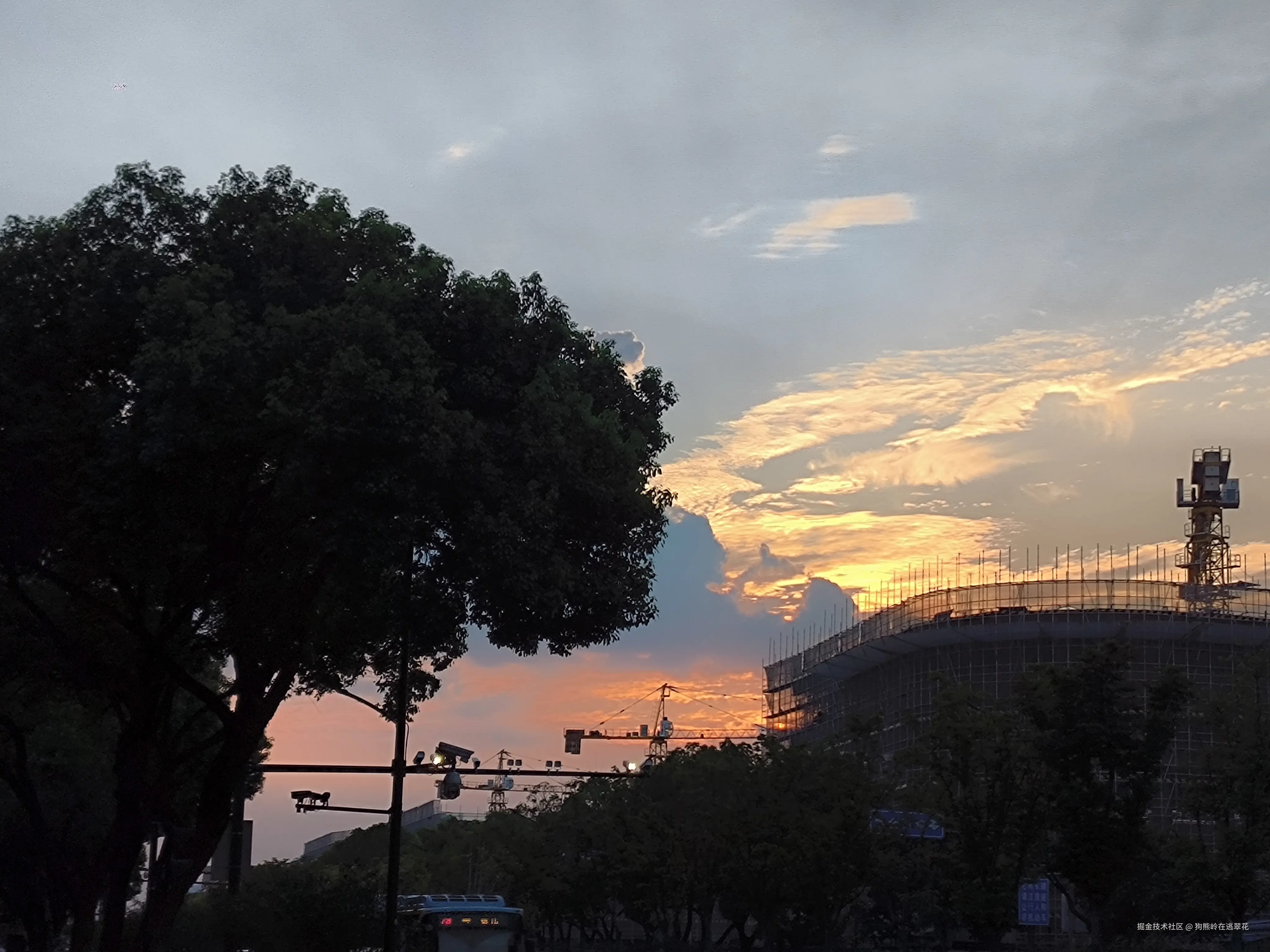 狗熊岭在逃翠花于2024-08-08 15:56发布的图片