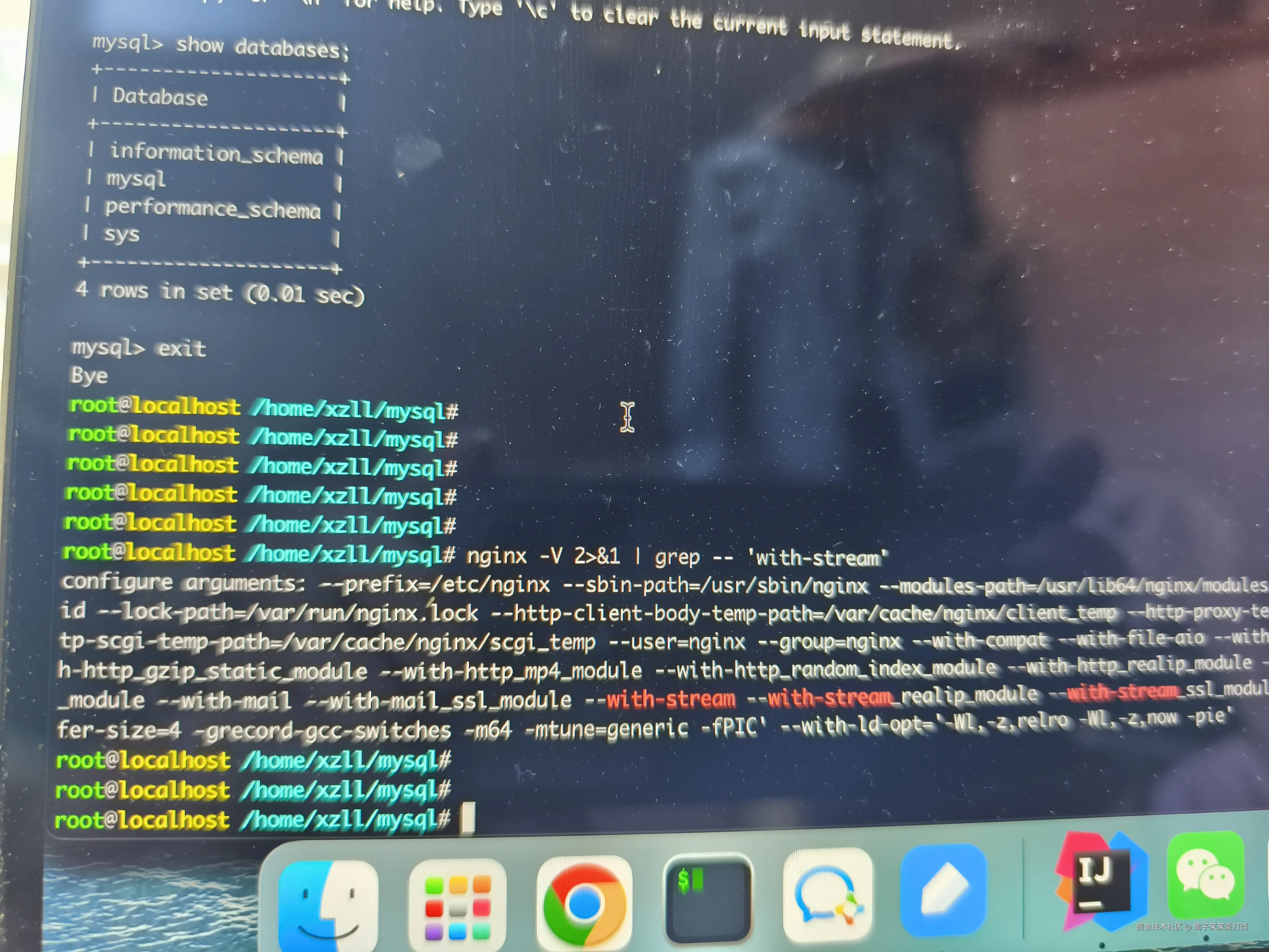 蝎子莱莱爱打怪于2024-09-22 12:32发布的图片