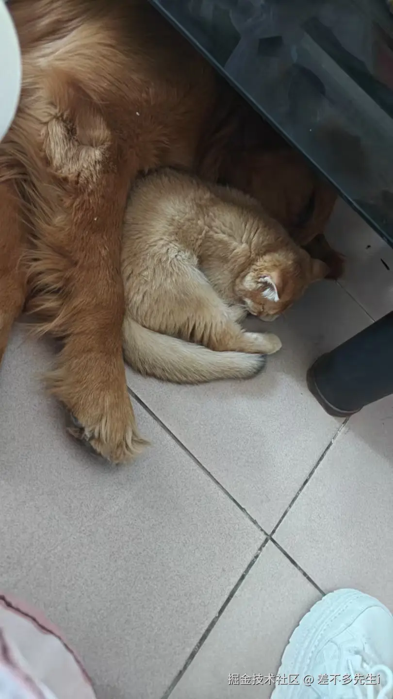 差不多先生i于2026-01-14 18:05发布的图片