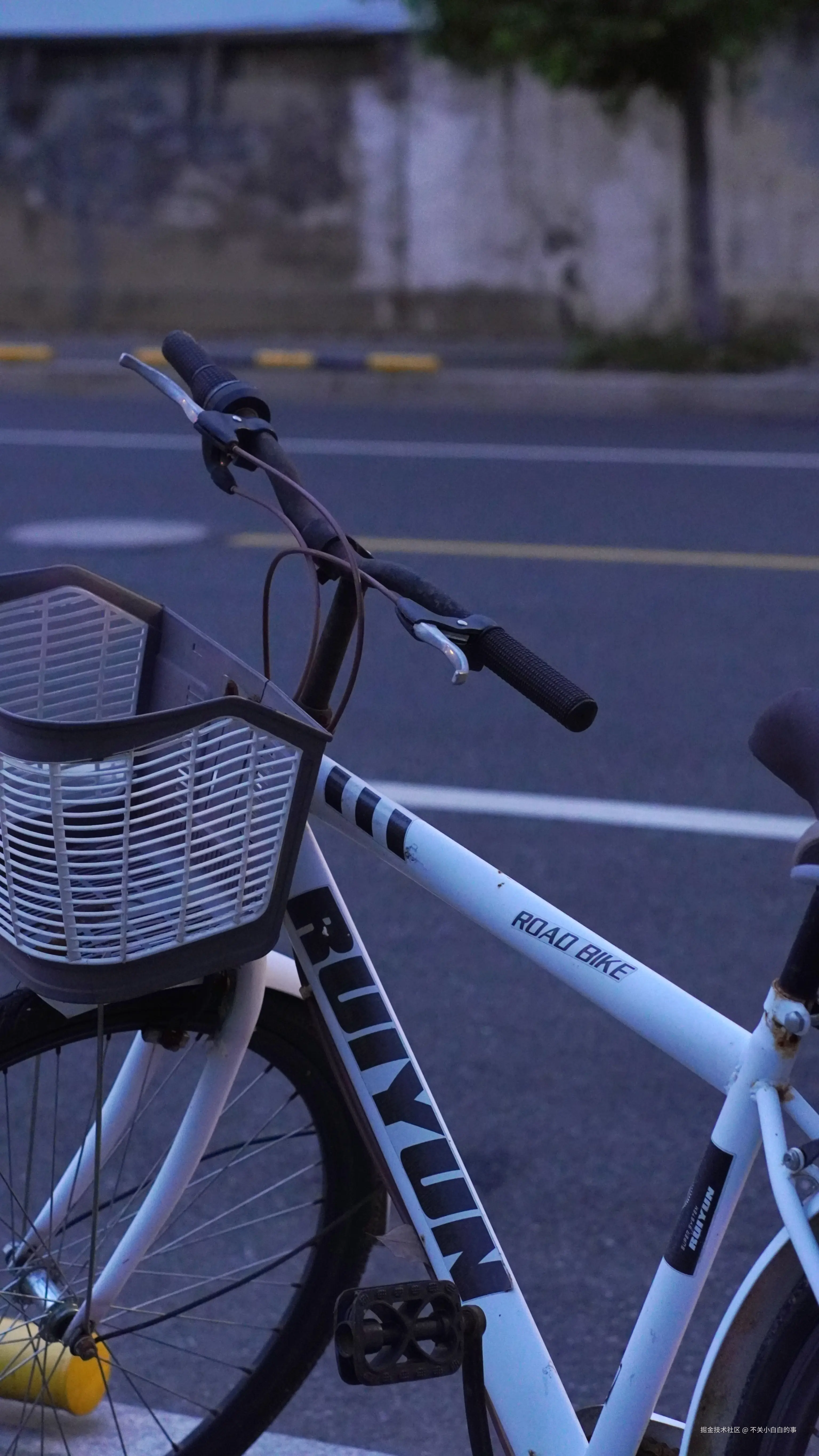 不关小白白的事于2024-08-12 09:42发布的图片