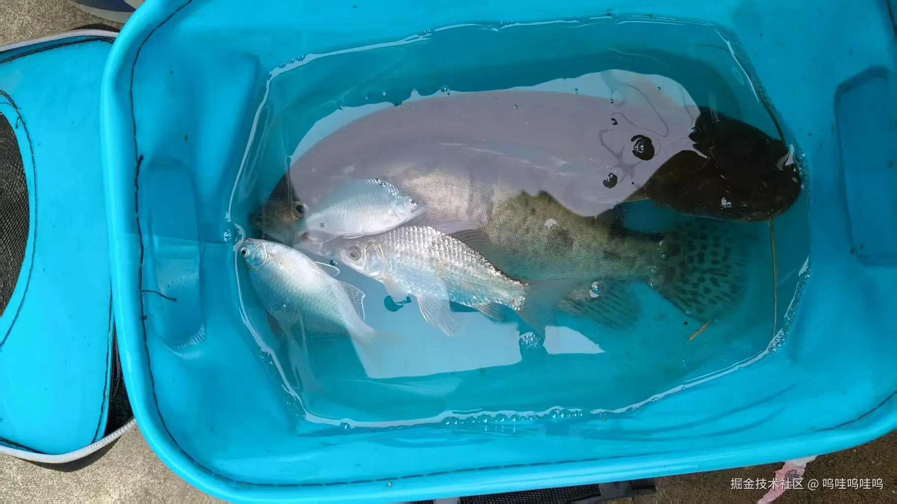 呜哇呜哇呜于2025-10-09 10:50发布的图片