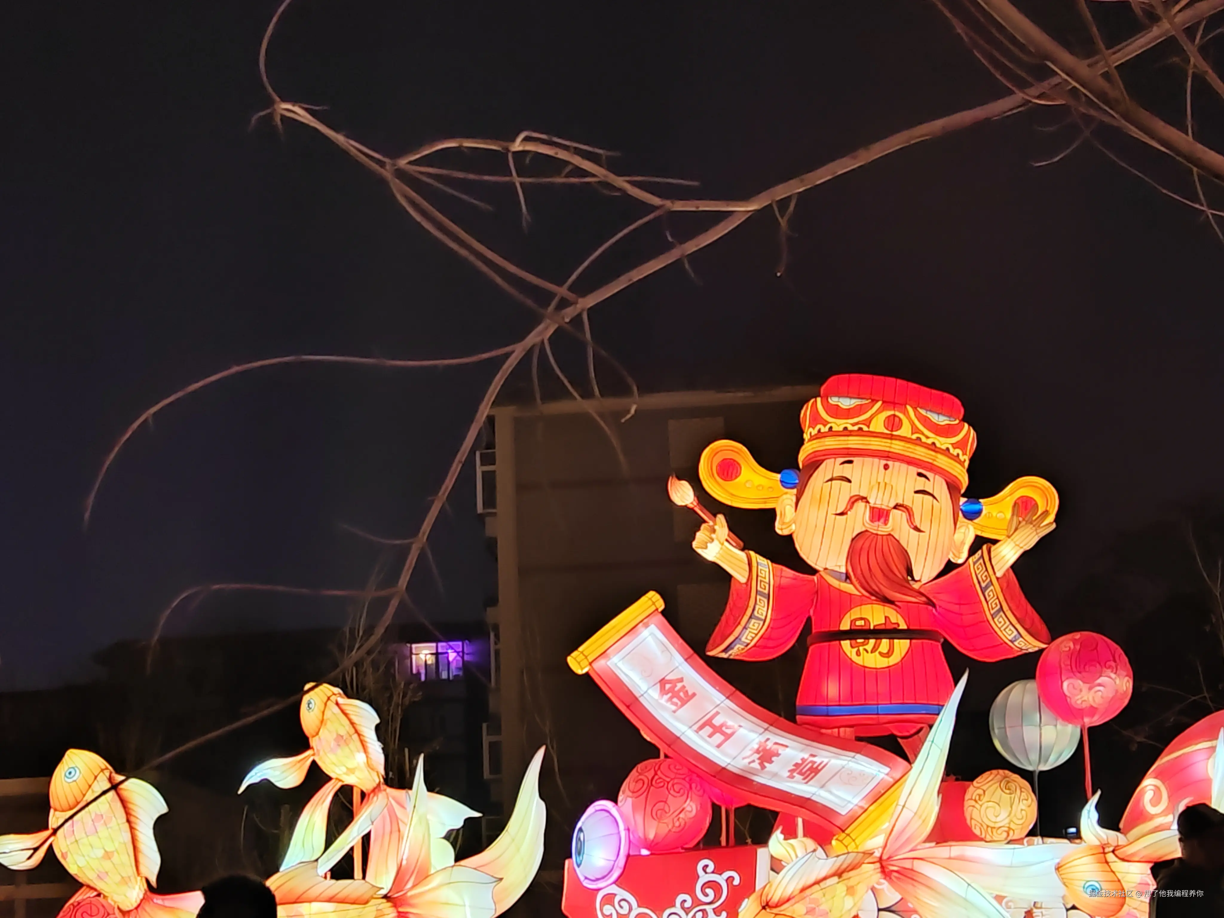 甩了他我编程养你于2026-02-21 11:07发布的图片