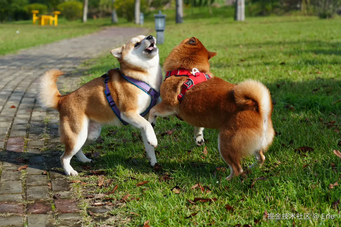 Erie于2025-11-18 08:30发布的图片