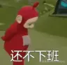 AliceQ于2024-09-10 16:44发布的图片