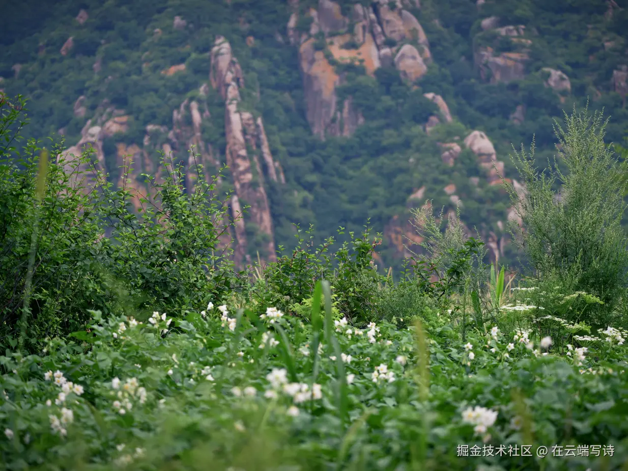 在云端写诗于2025-08-04 02:49发布的图片