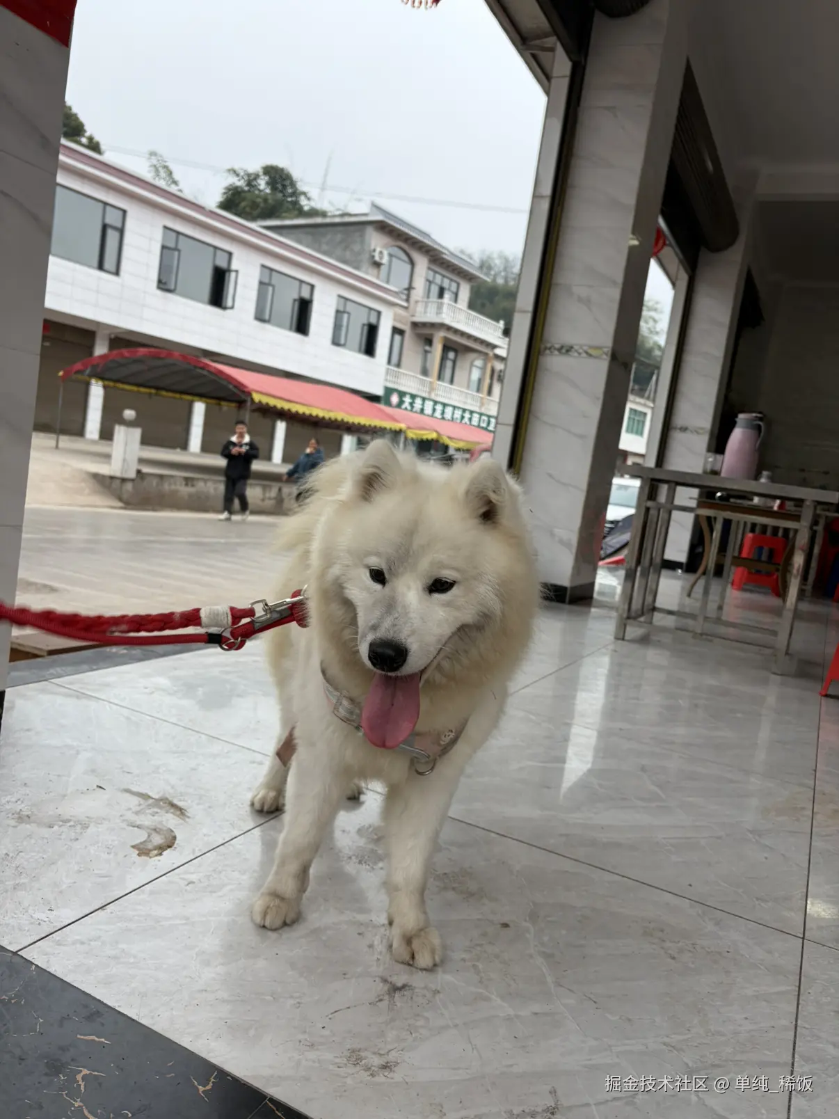 单纯_稀饭于2026-03-02 04:56发布的图片