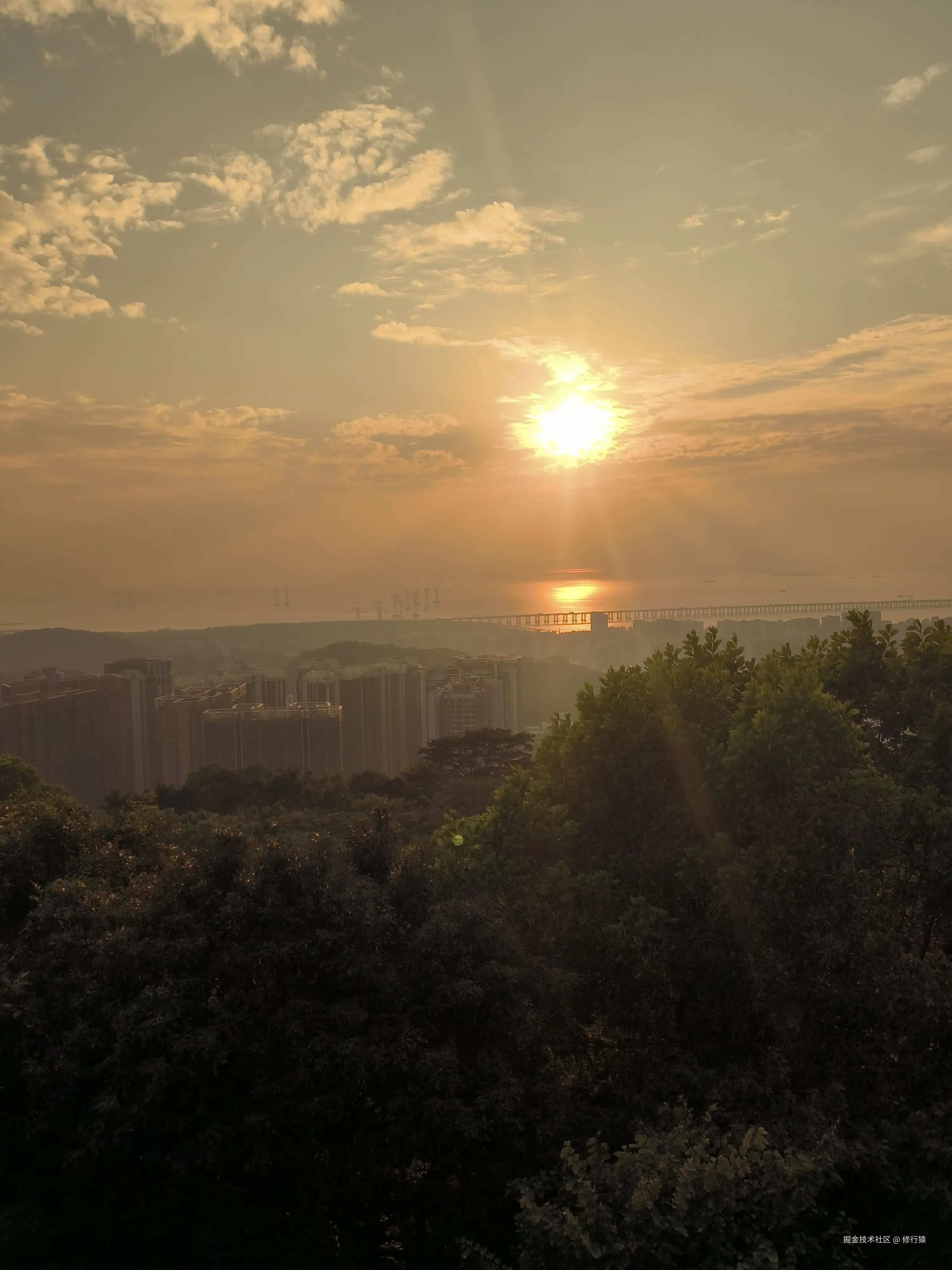 修行猿于2024-12-31 17:12发布的图片