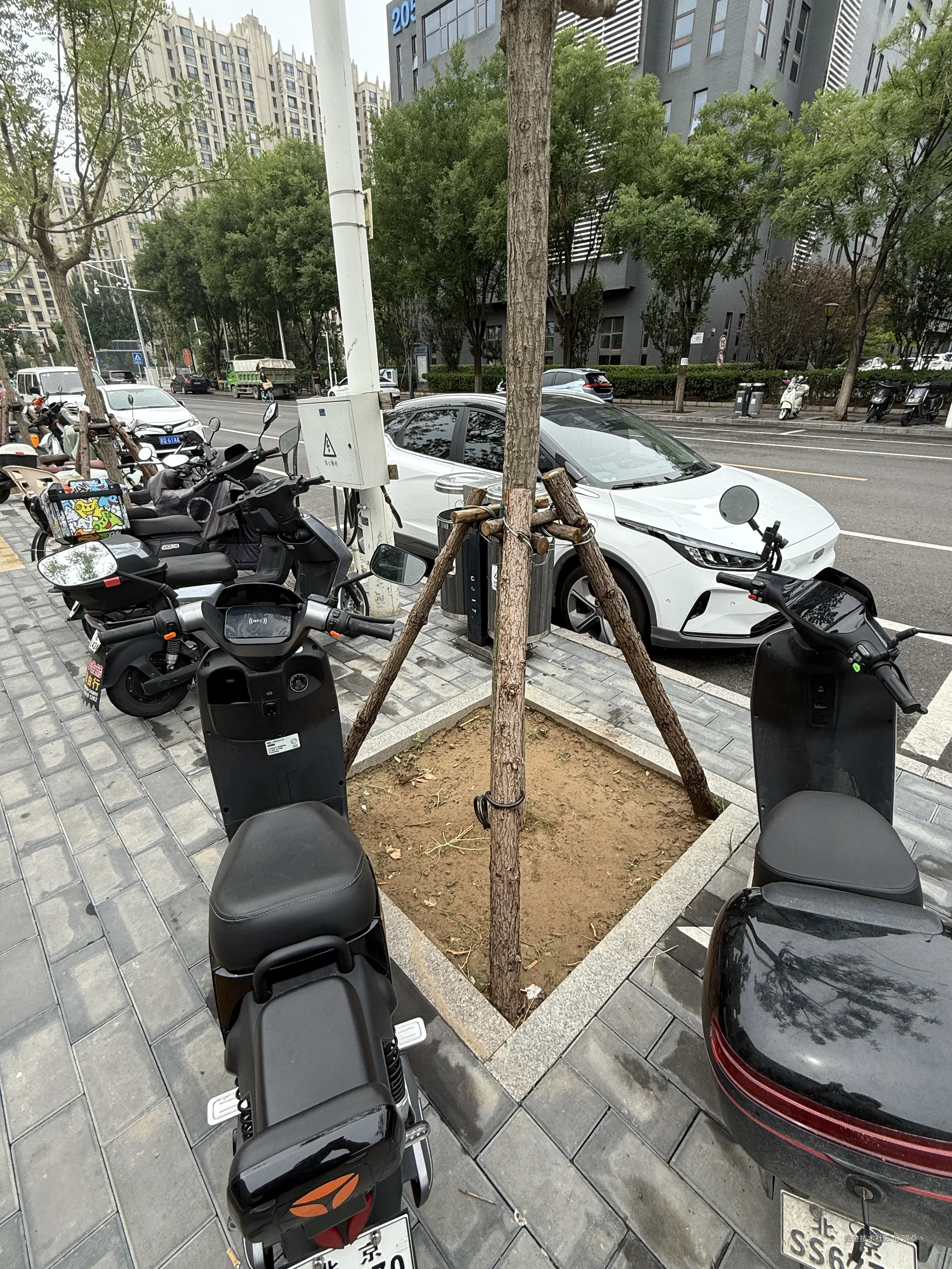 喵桑丶于2025-06-19 14:14发布的图片