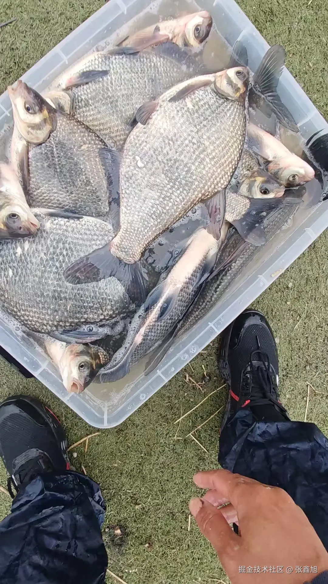 张鑫旭于2025-12-19 10:37发布的图片