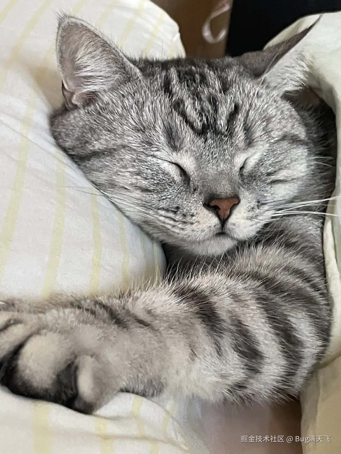 Bug满天飞于2024-10-09 16:13发布的图片