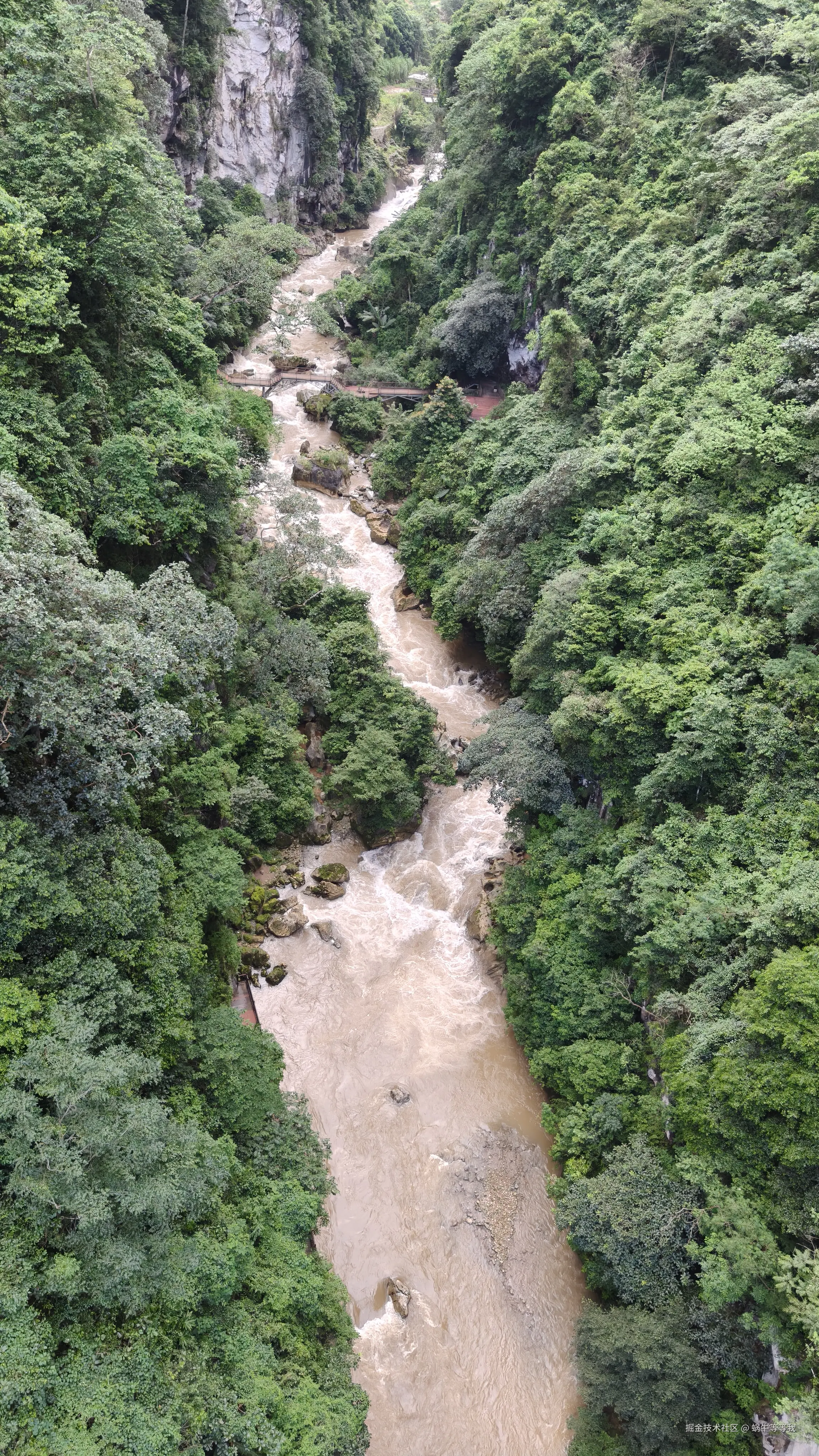 蜗牛等等我于2025-08-11 10:05发布的图片