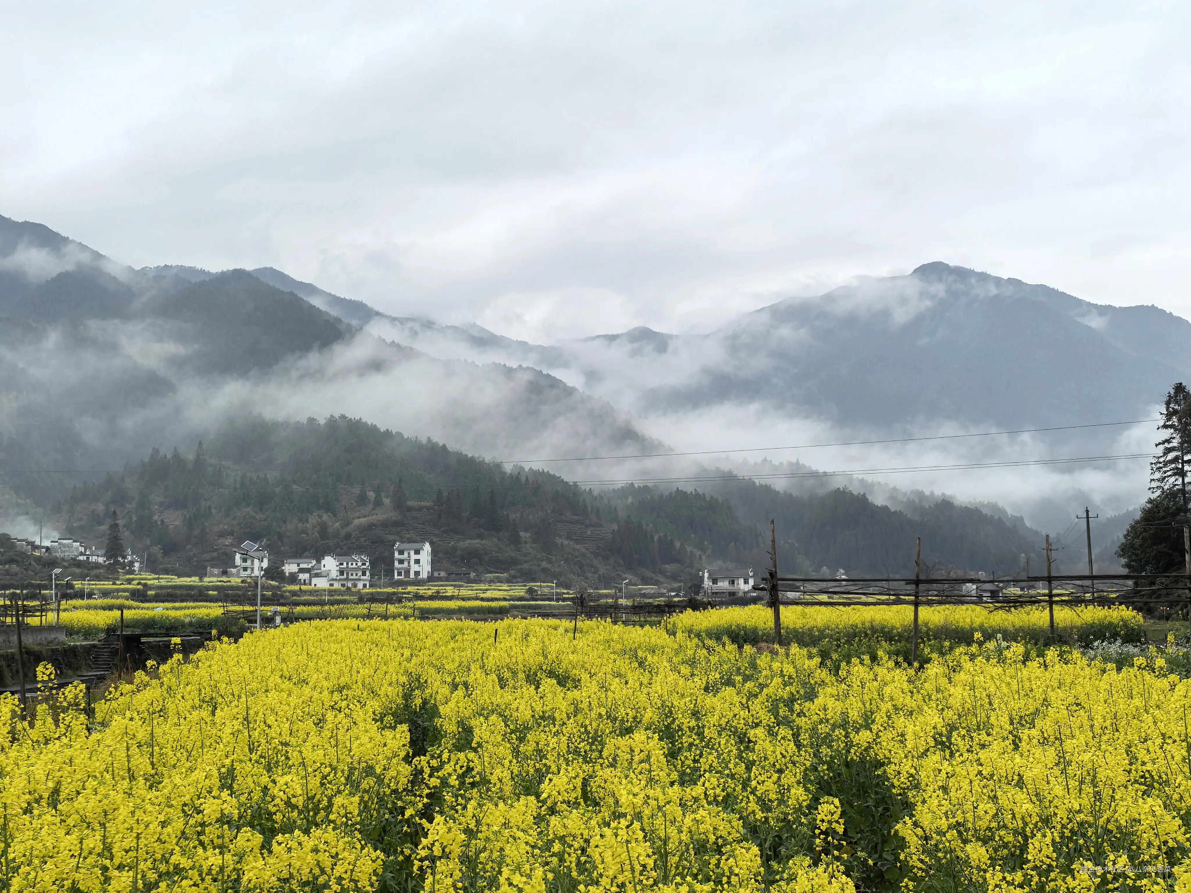 八奈见杏菜于2026-03-23 11:09发布的图片