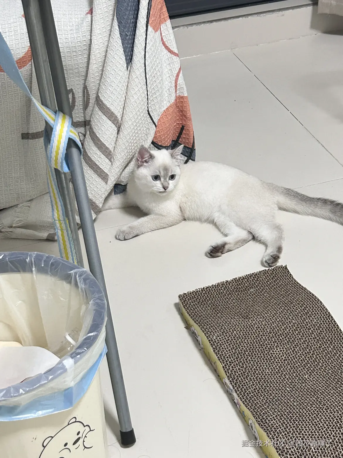 困了先睡了于2025-04-24 15:44发布的图片