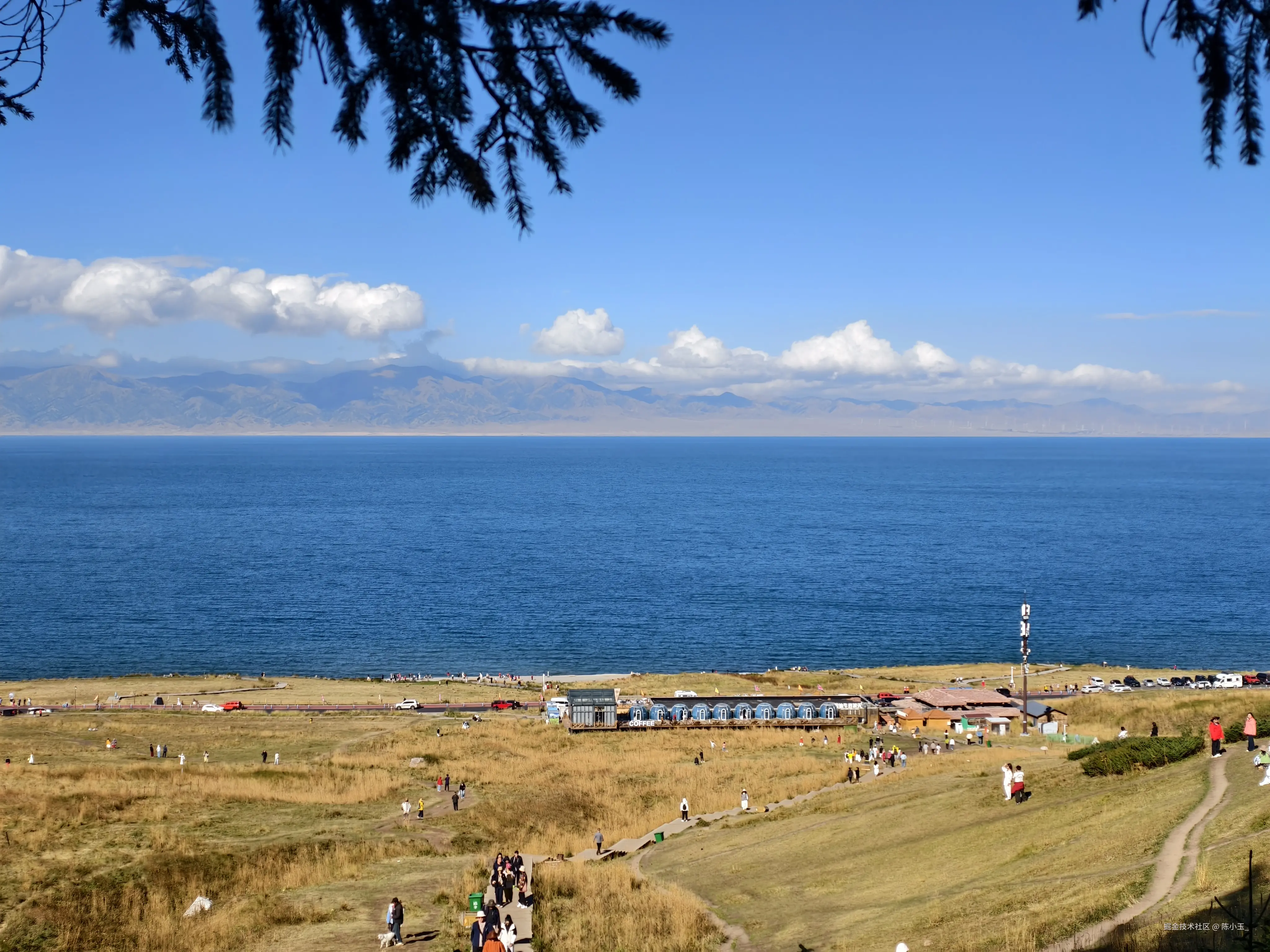 陈小玉_于2026-01-22 13:23发布的图片