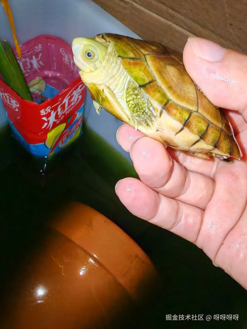 呀呀呀呀于2025-04-25 11:04发布的图片