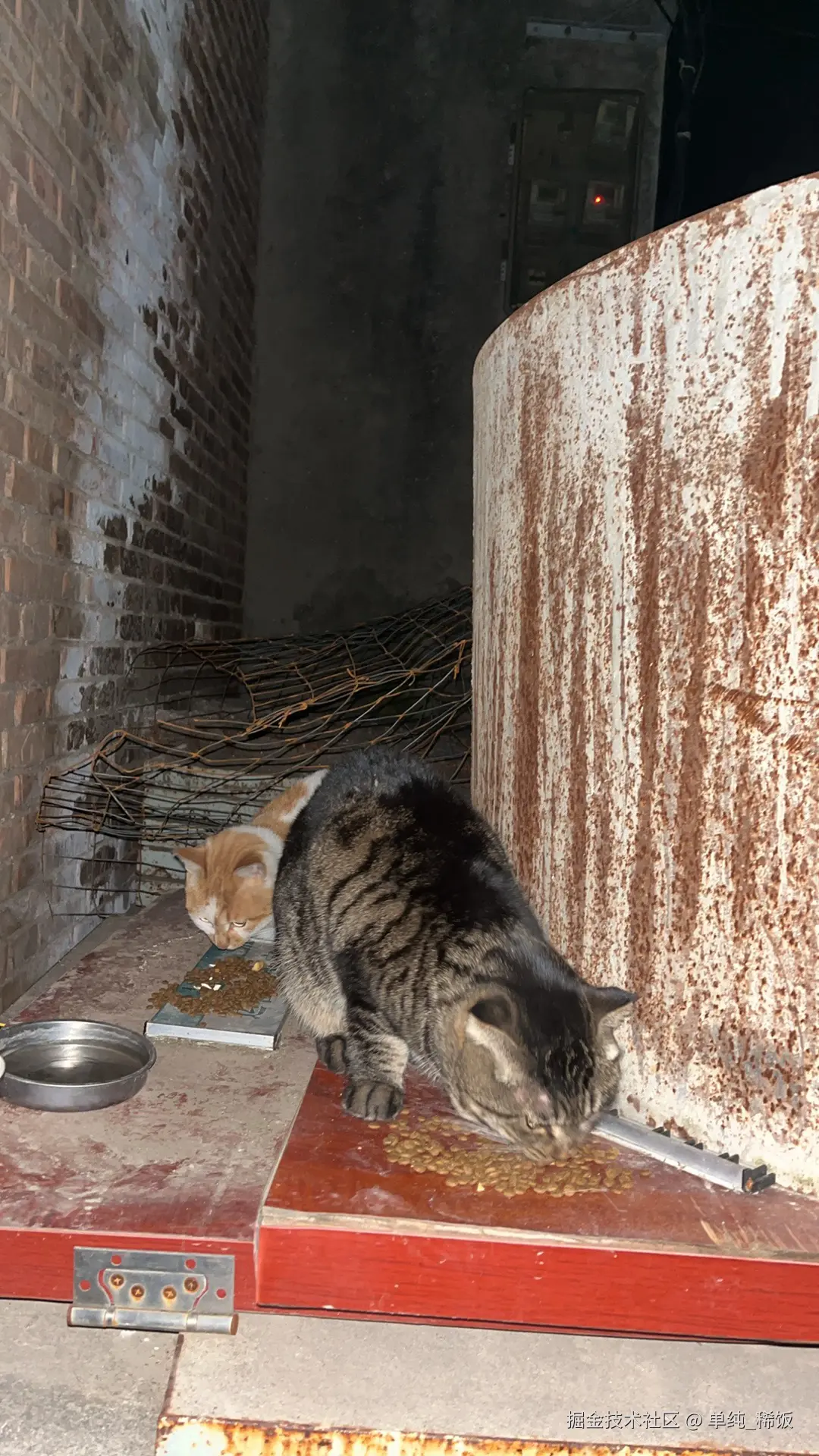 单纯_稀饭于2025-11-26 09:05发布的图片