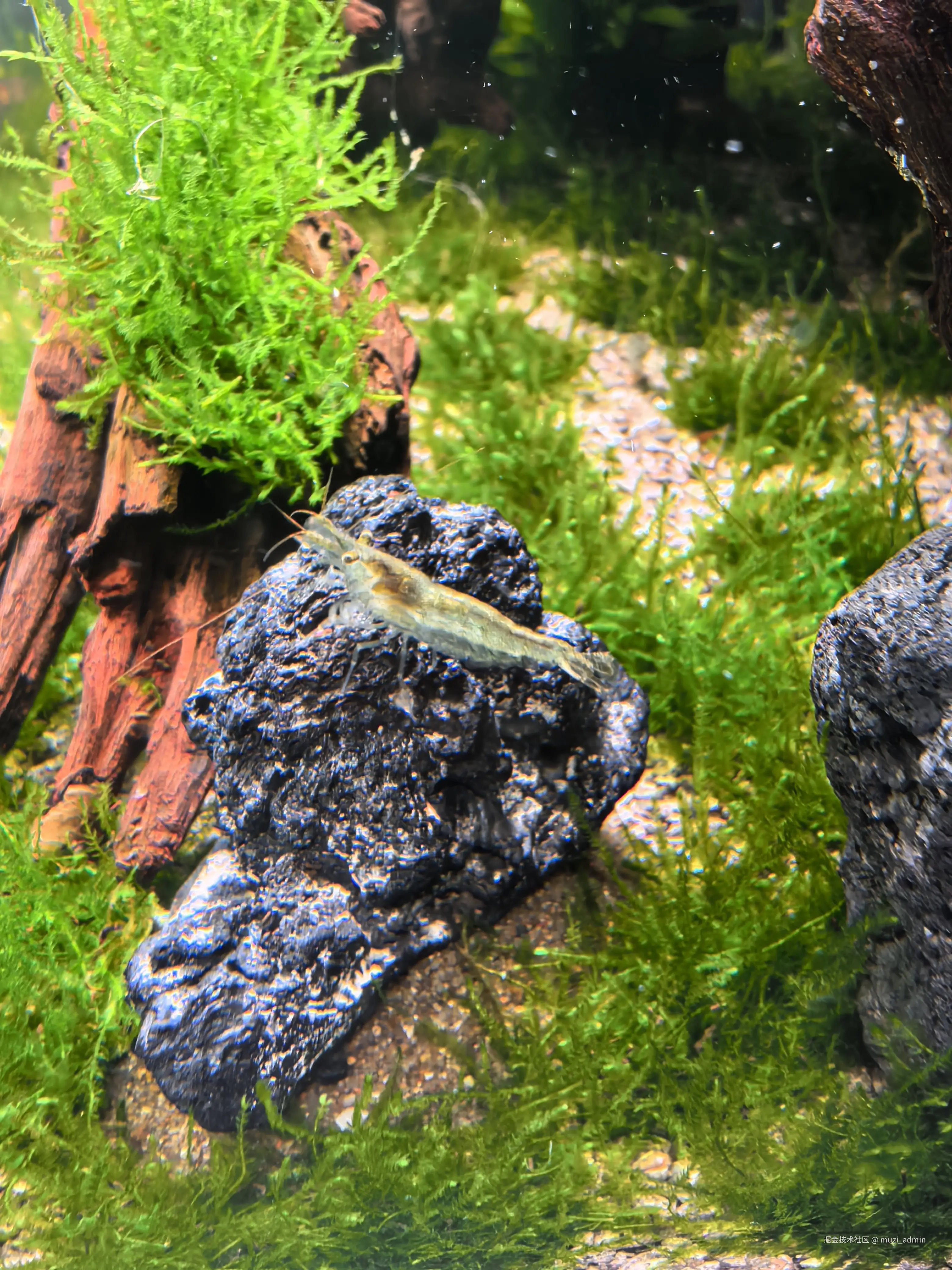 muzi_admin于2026-04-18 15:15发布的图片