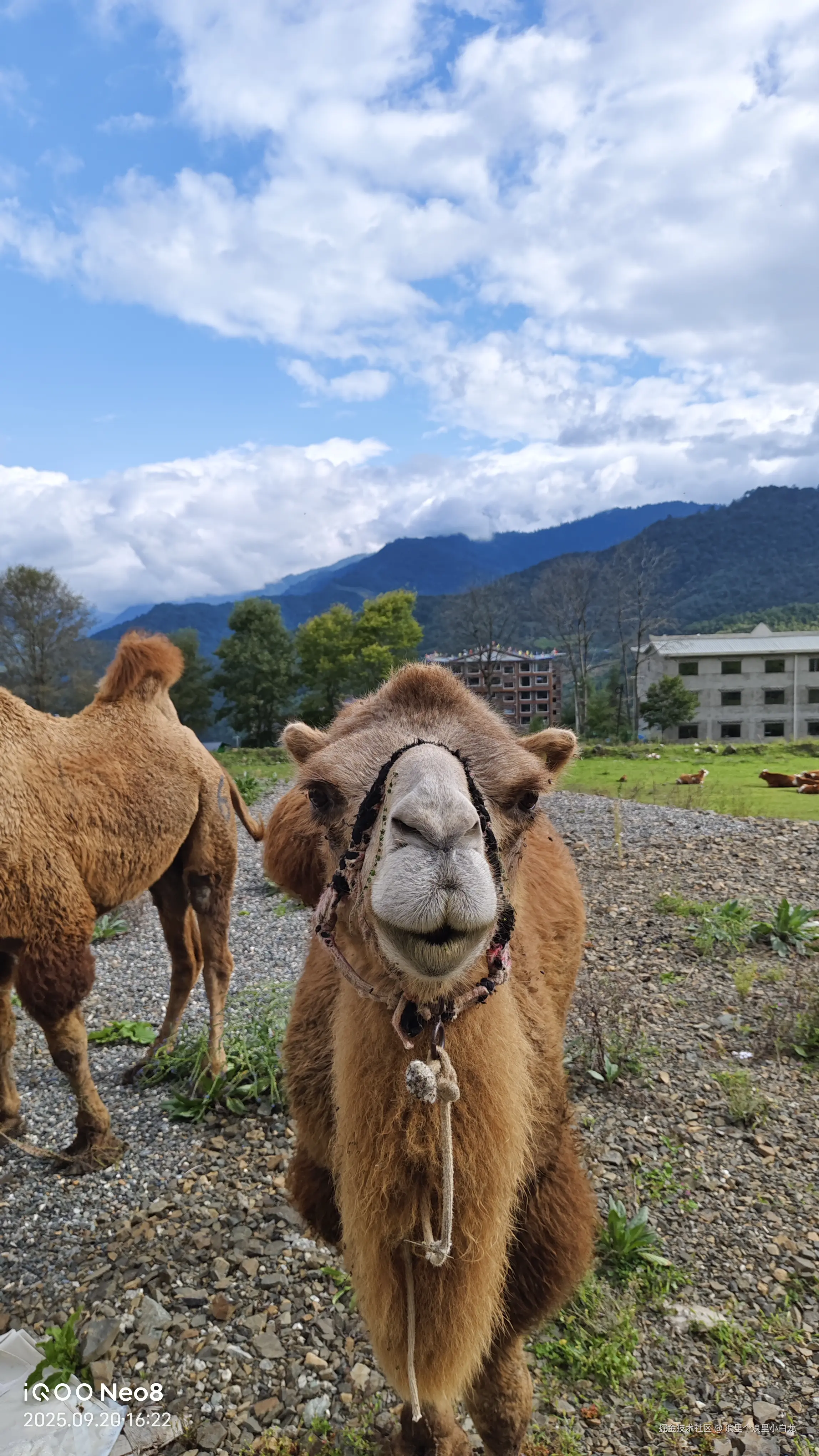 浪里个浪里小白龙于2025-11-06 16:41发布的图片