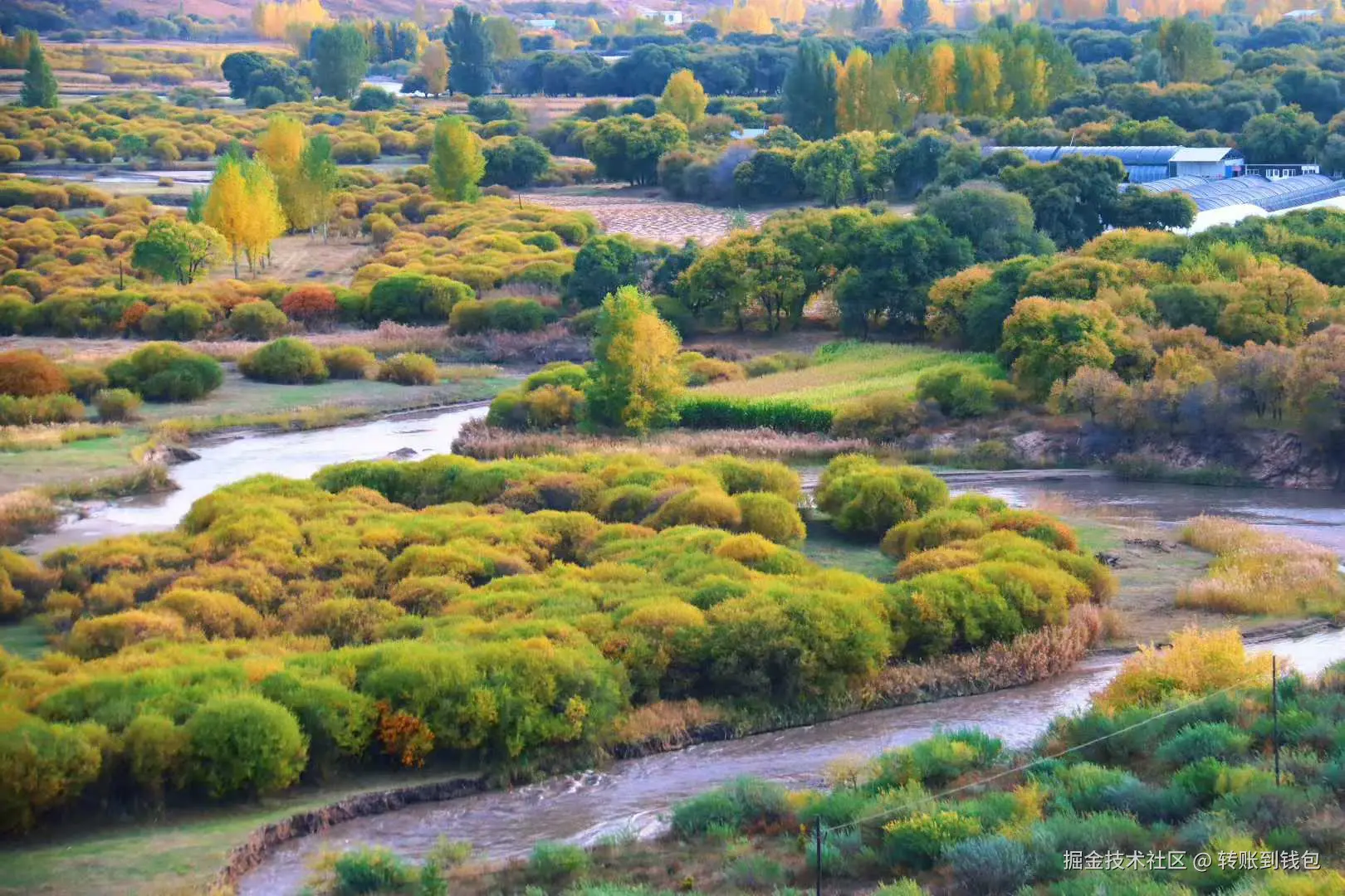 转账到钱包于2025-10-09 11:31发布的图片