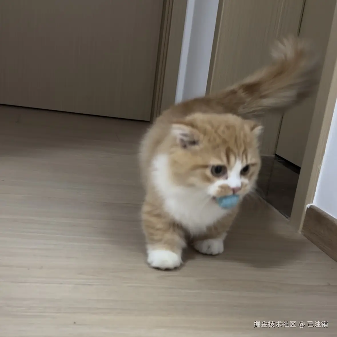 已注销于2024-11-07 01:59发布的图片