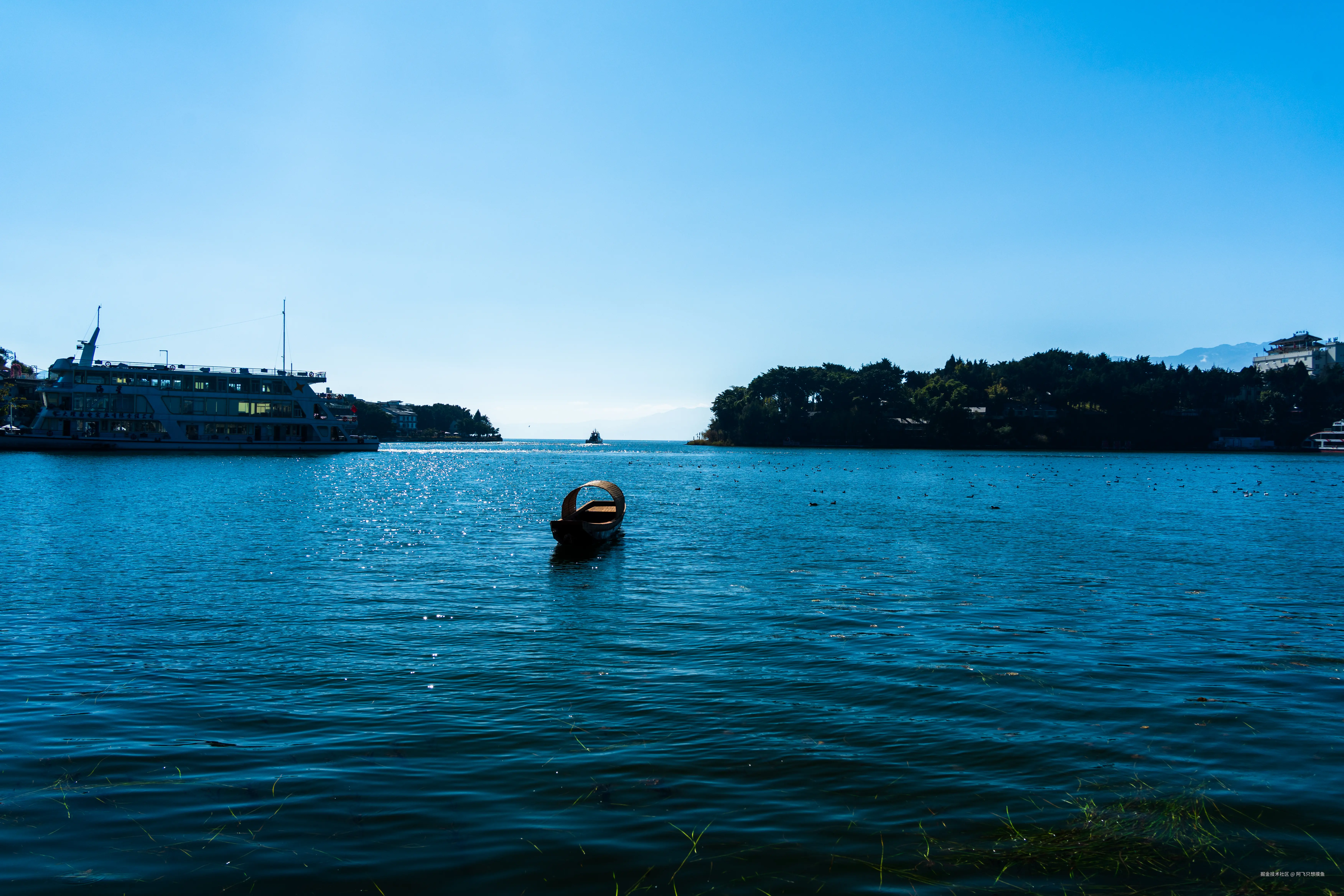 阿飞只想摸鱼于2026-02-11 14:40发布的图片
