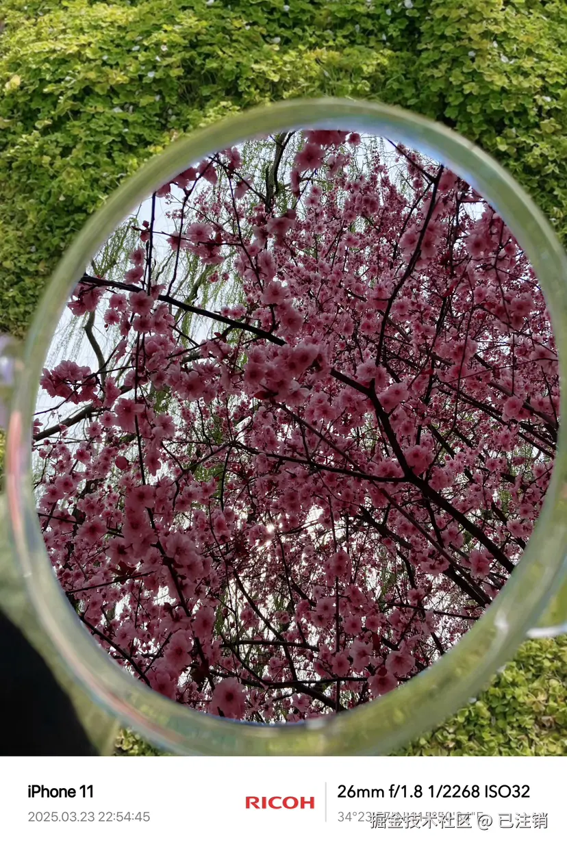 已注销于2025-03-23 22:58发布的图片