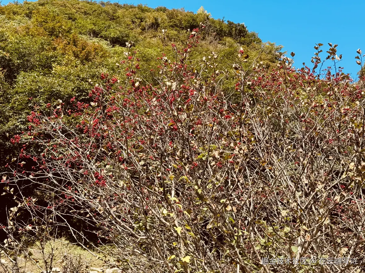 在云端写诗于2025-09-22 15:08发布的图片