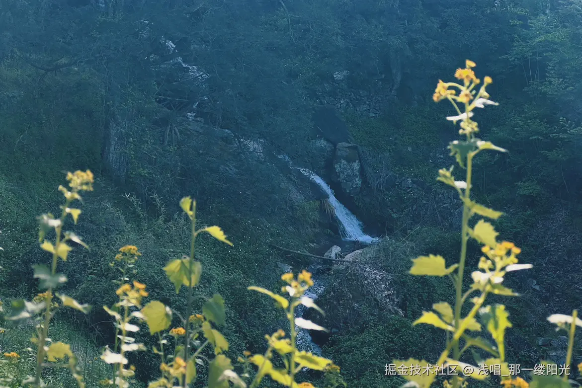 浅唱_那一缕阳光于2025-04-24 09:06发布的图片