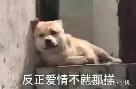 小桃_于2026-02-08 10:59发布的图片