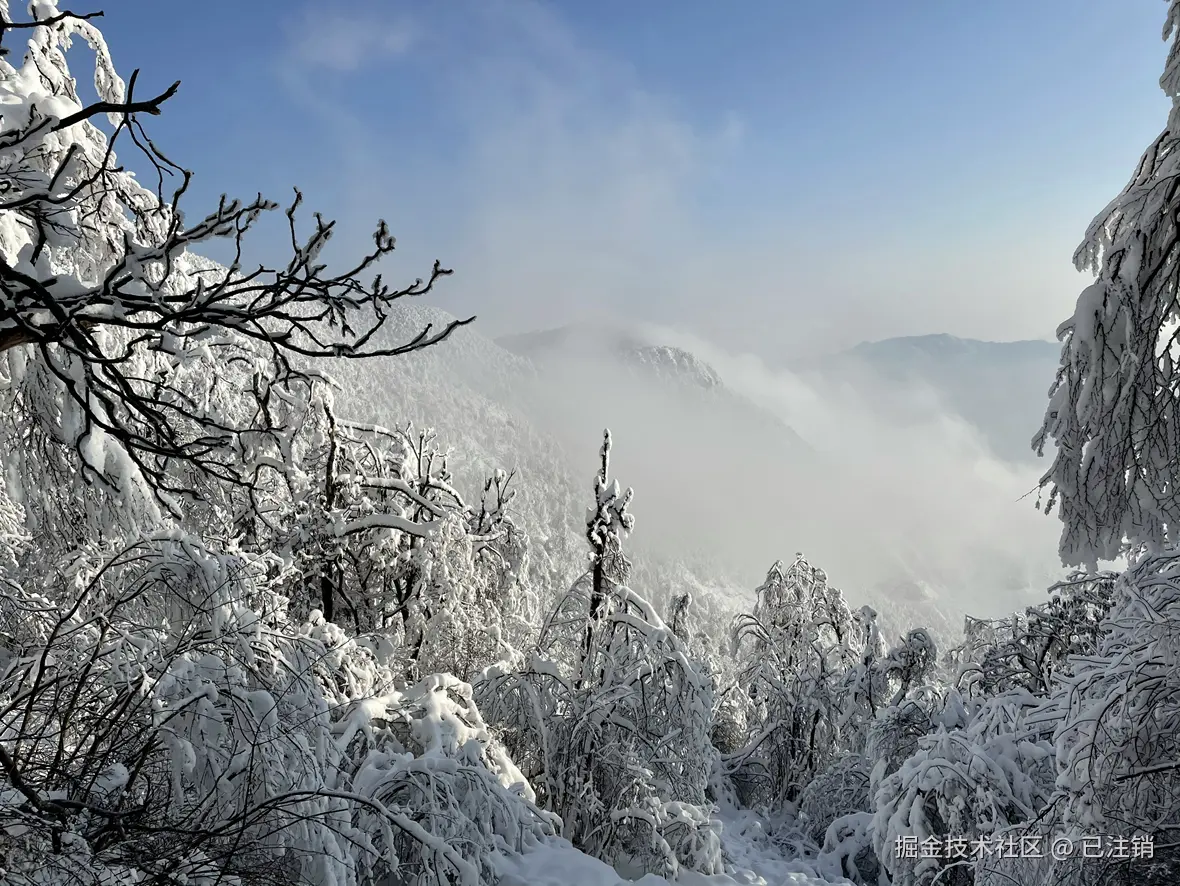 已注销于2024-10-28 16:11发布的图片
