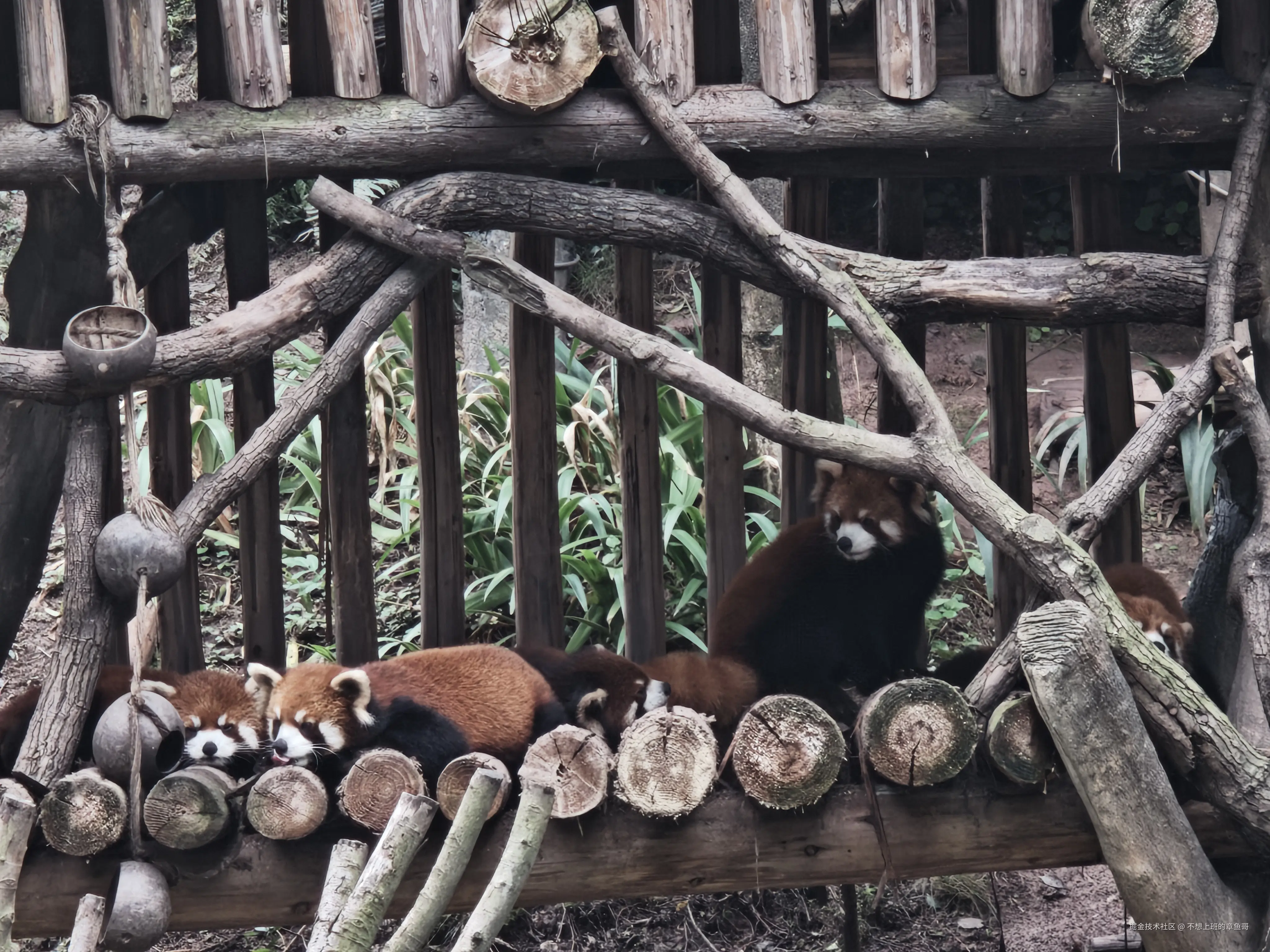 不想上班的章鱼哥于2025-10-09 03:56发布的图片