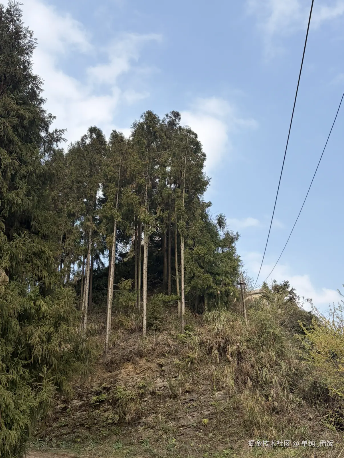 单纯_稀饭于2026-02-27 16:19发布的图片