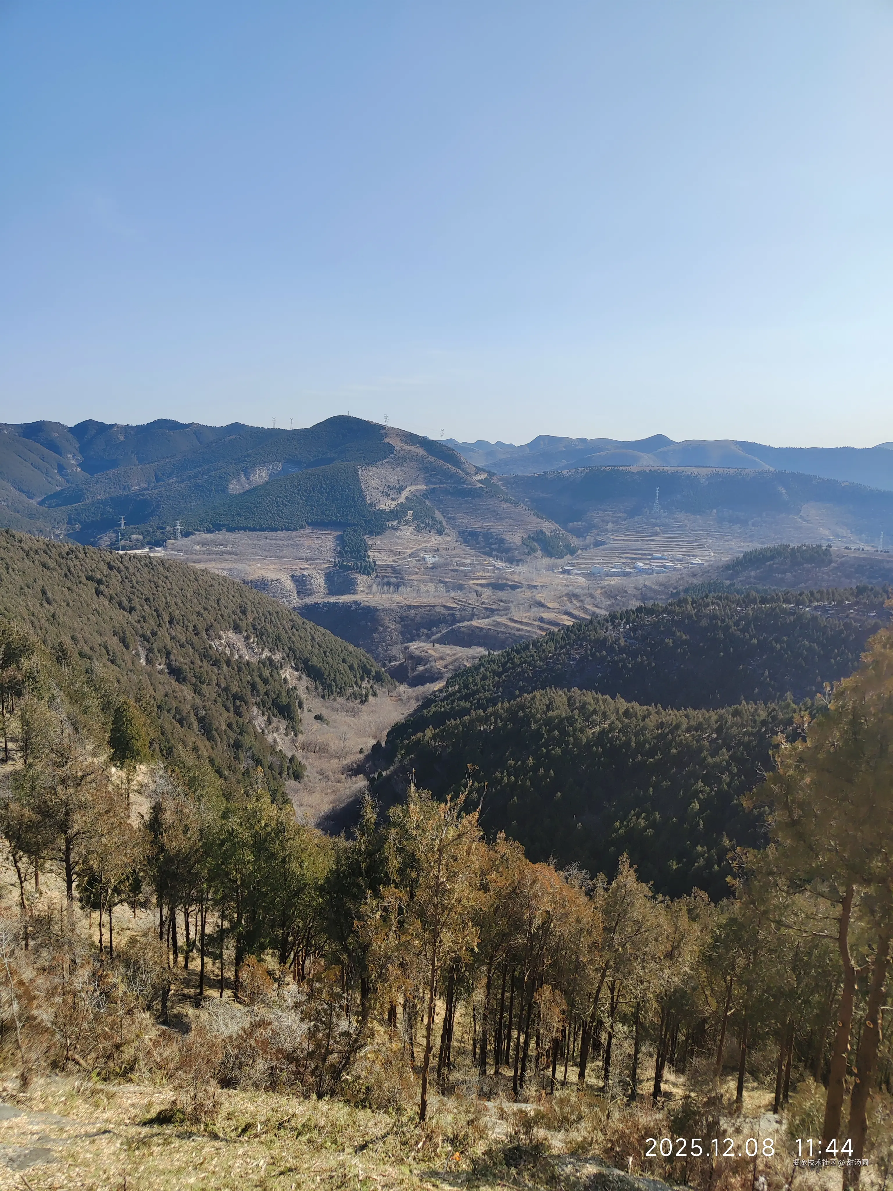 甜汤圆于2025-12-08 12:09发布的图片