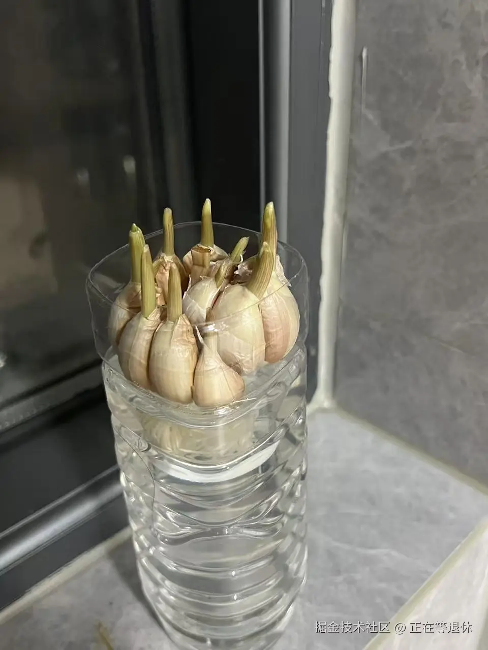 正在等退休于2025-11-04 15:49发布的图片