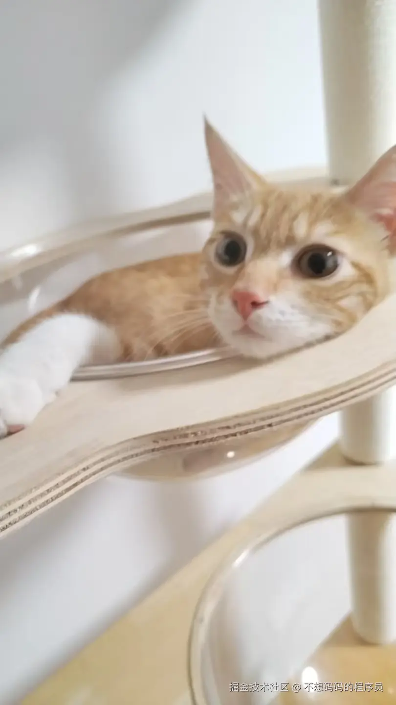 不想码码的程序员于2025-08-12 14:23发布的图片