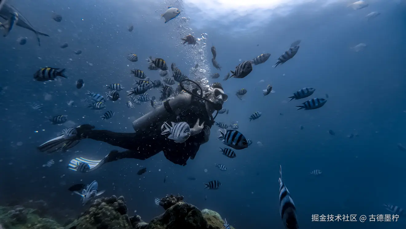 古德墨柠于2025-06-05 11:25发布的图片