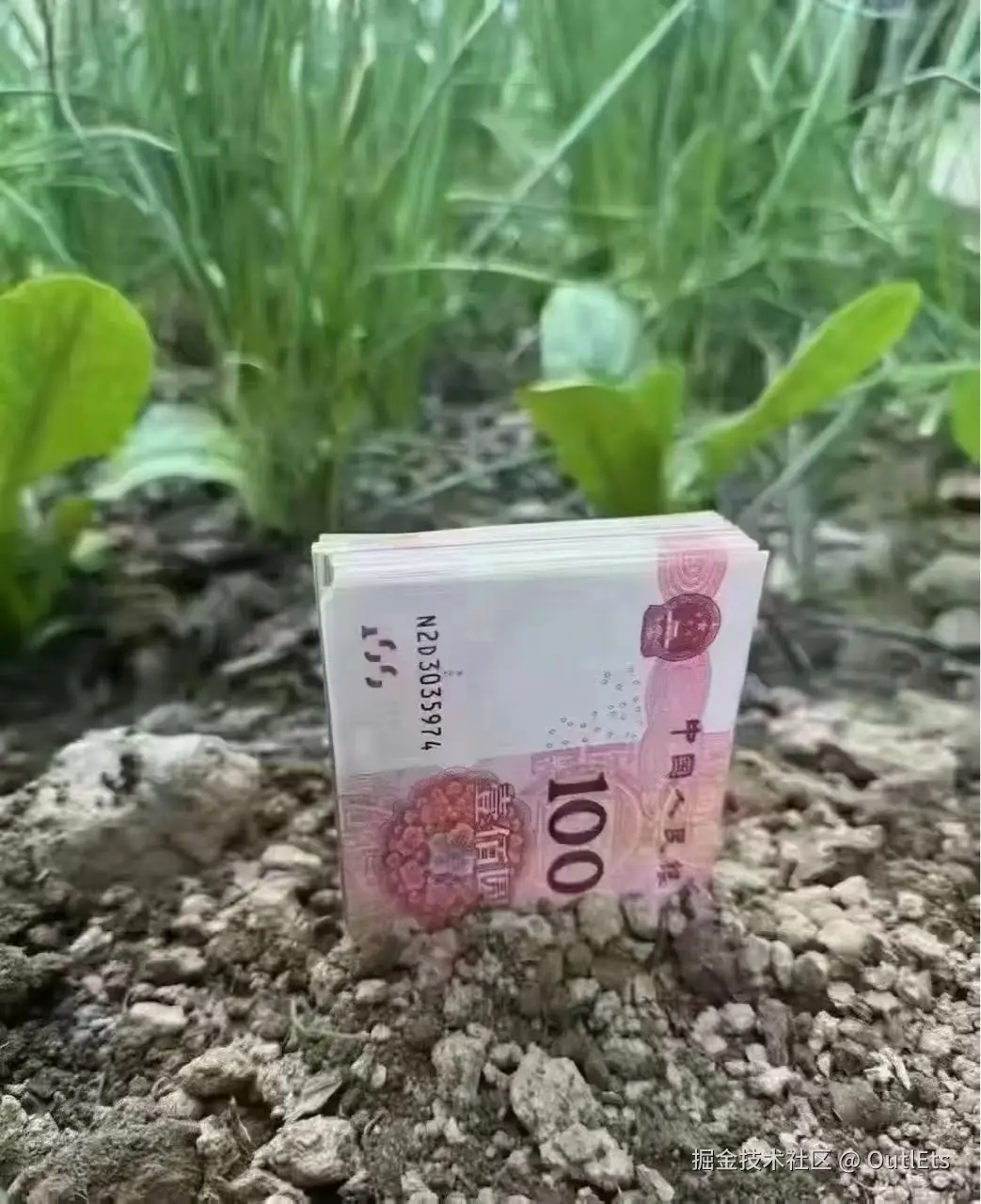 OutlEts于2026-03-12 15:12发布的图片