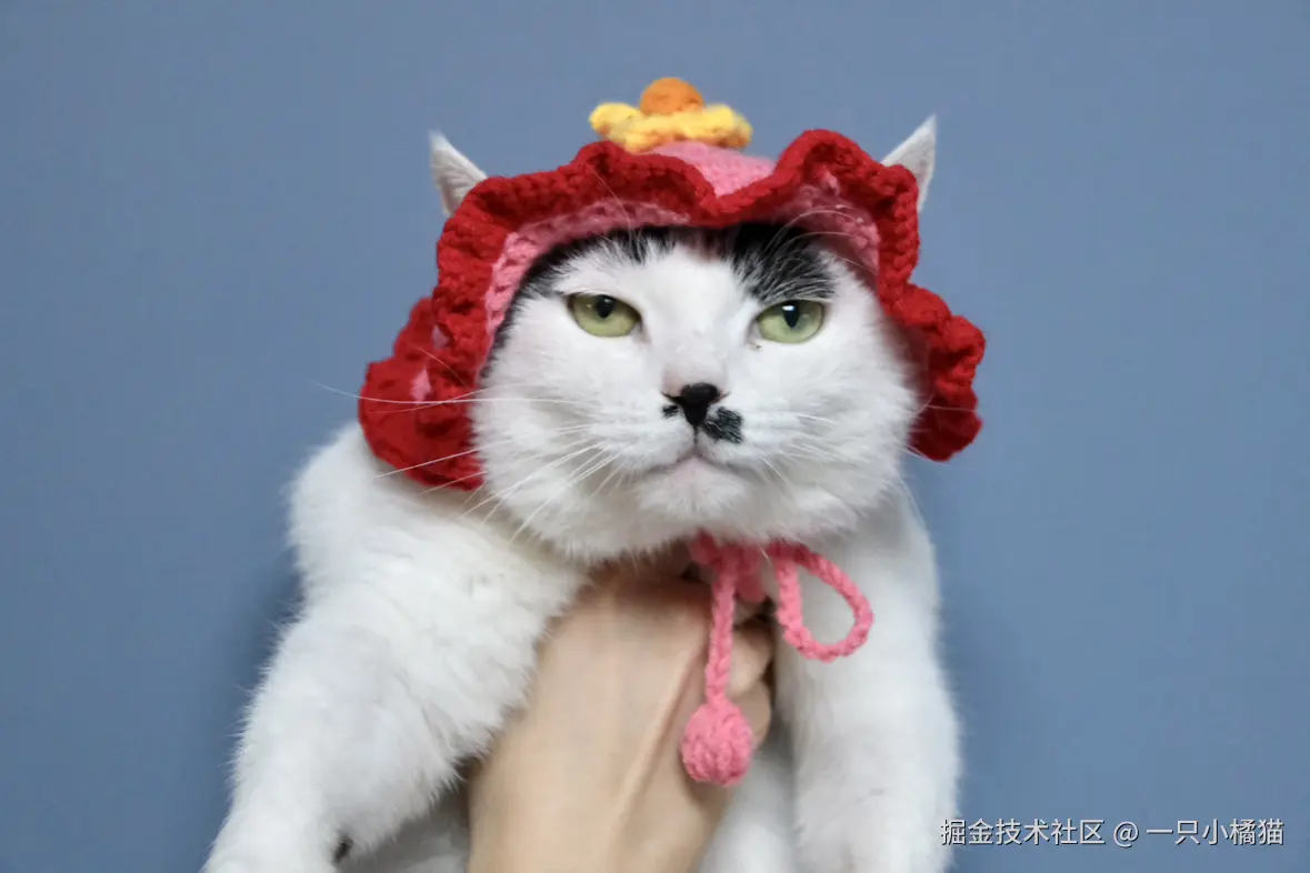 一只小橘猫于2026-02-02 10:27发布的图片