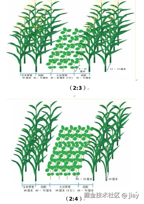 jiay于2025-03-05 14:35发布的图片