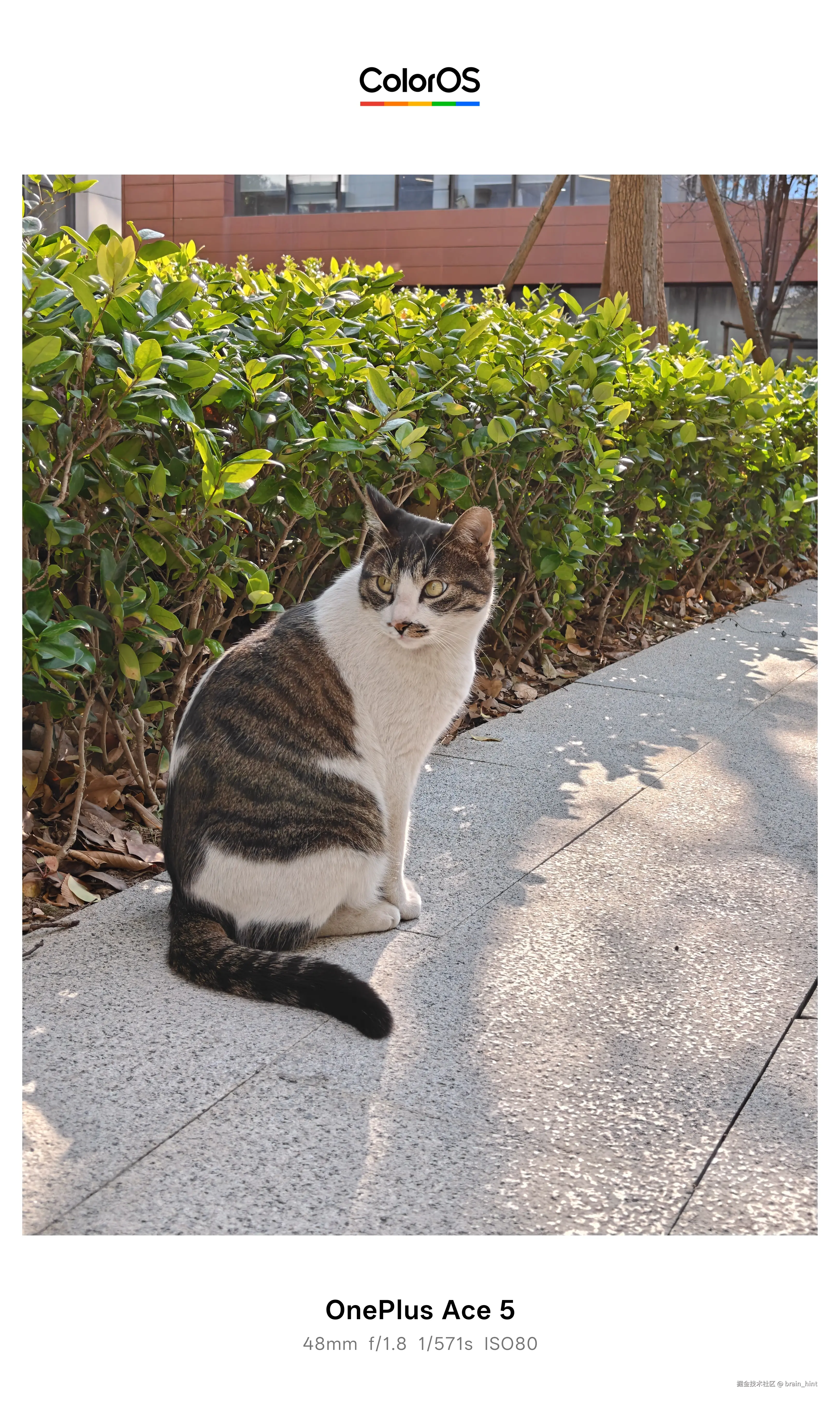 brain_hint于2025-12-15 12:59发布的图片