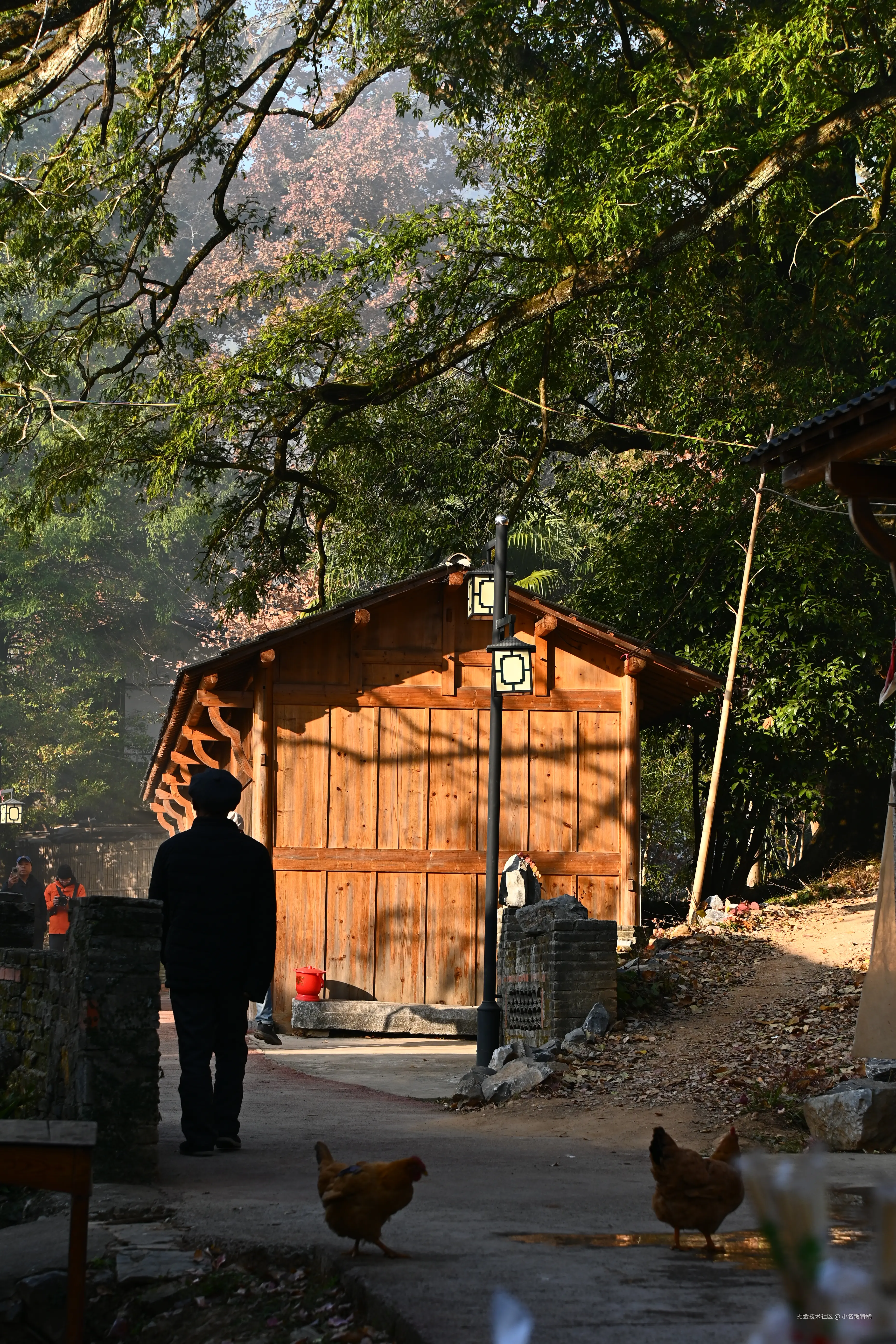 小名饭特稀于2025-12-10 10:41发布的图片