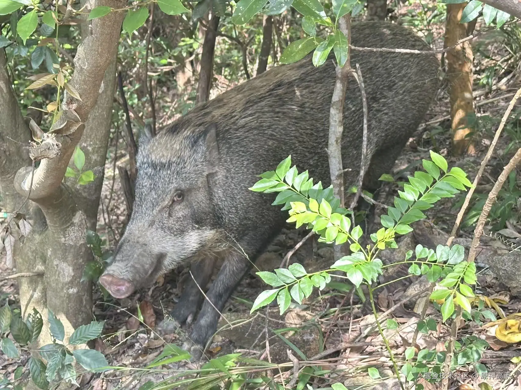 原神高手于2025-10-20 09:25发布的图片