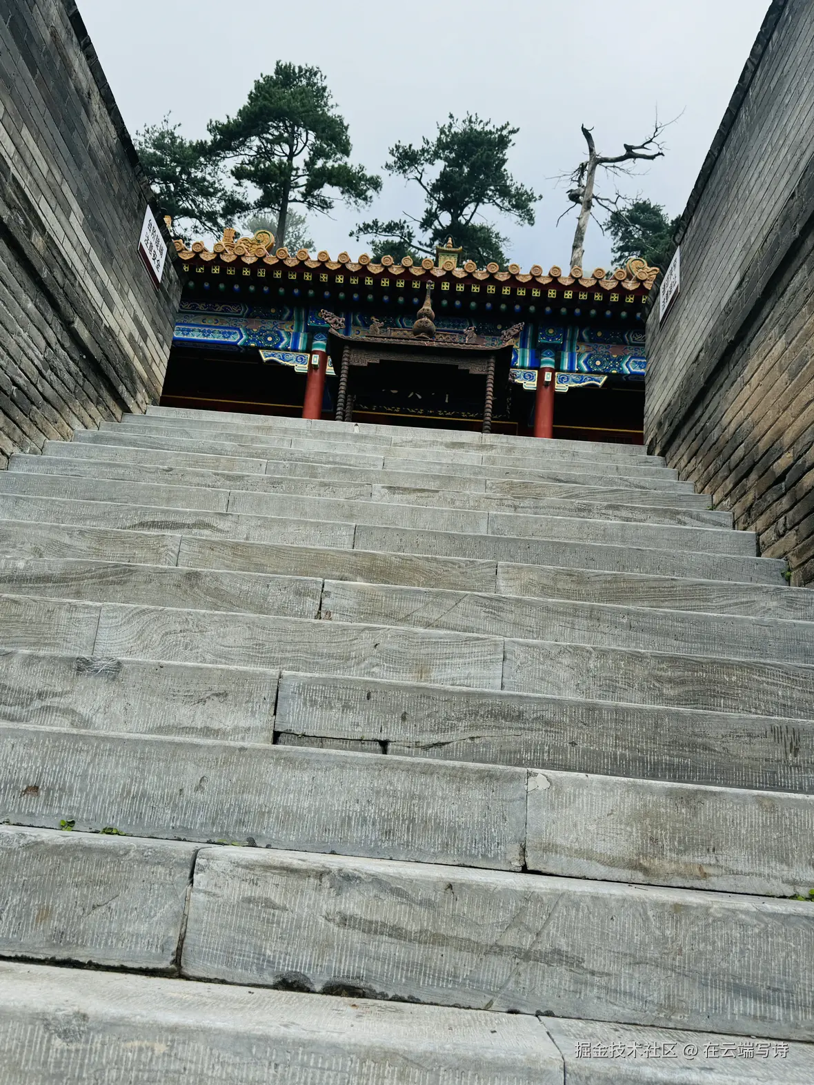 在云端写诗于2025-09-01 07:40发布的图片