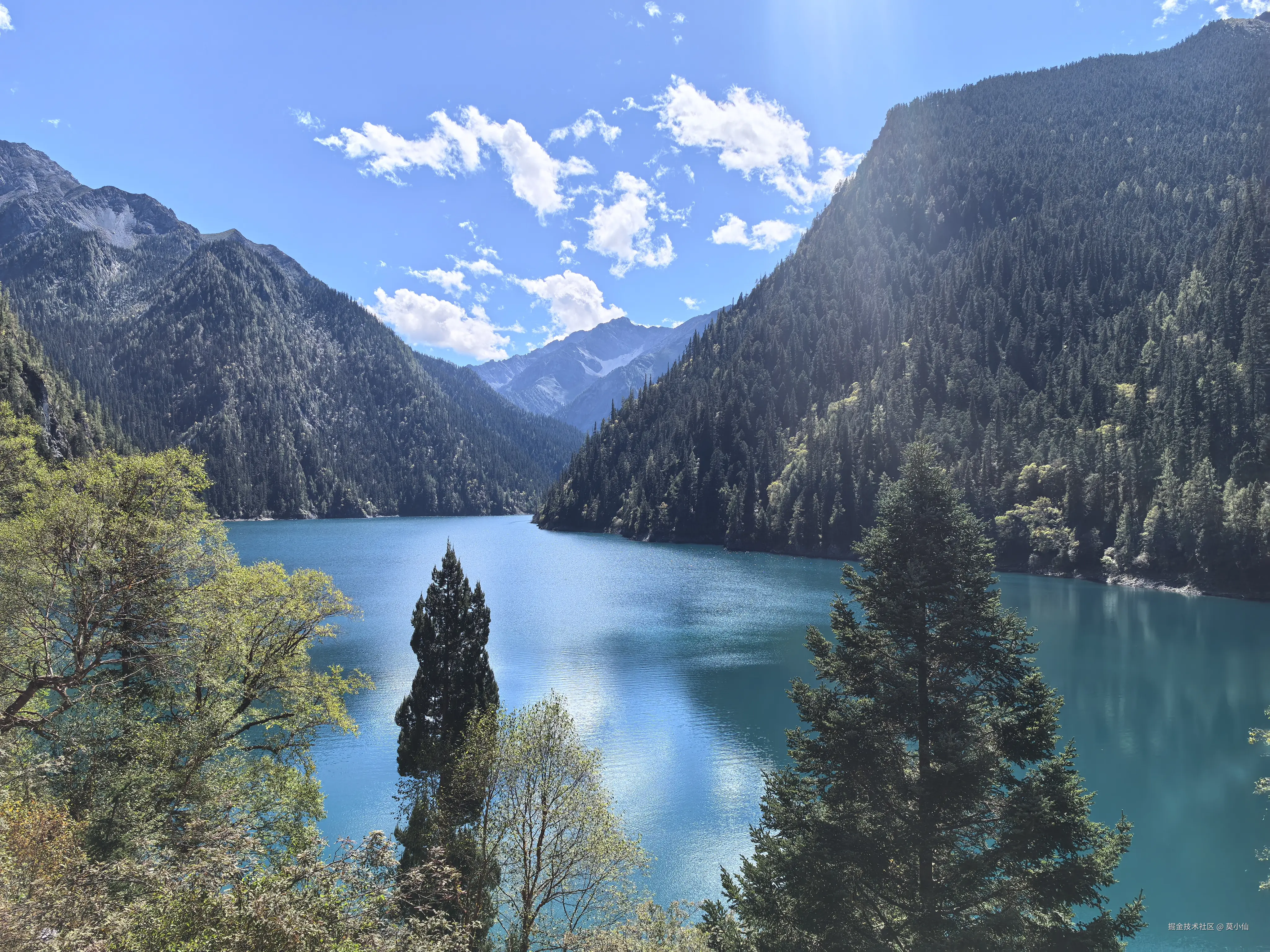 莫小仙于2025-10-09 10:54发布的图片