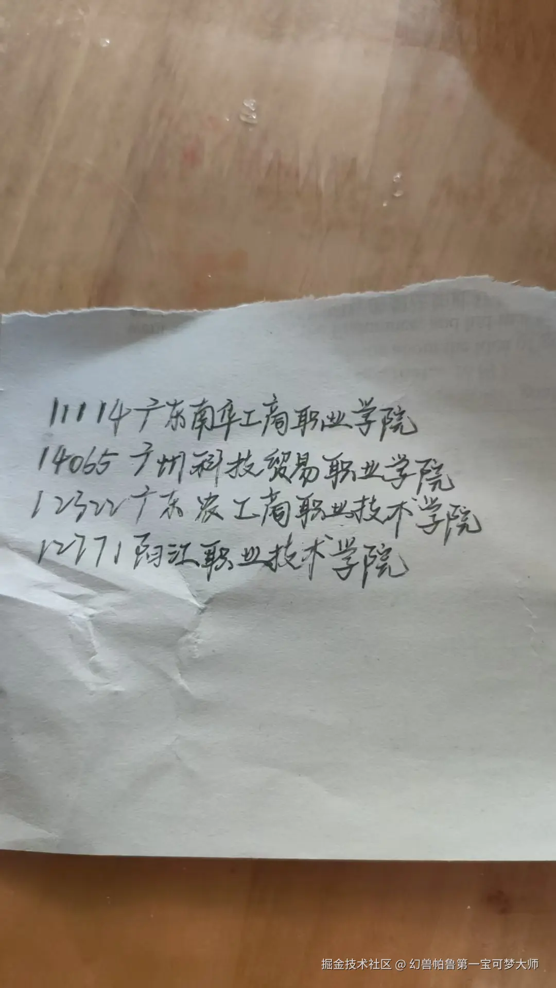 幻兽帕鲁第一宝可梦大师于2026-03-06 07:23发布的图片